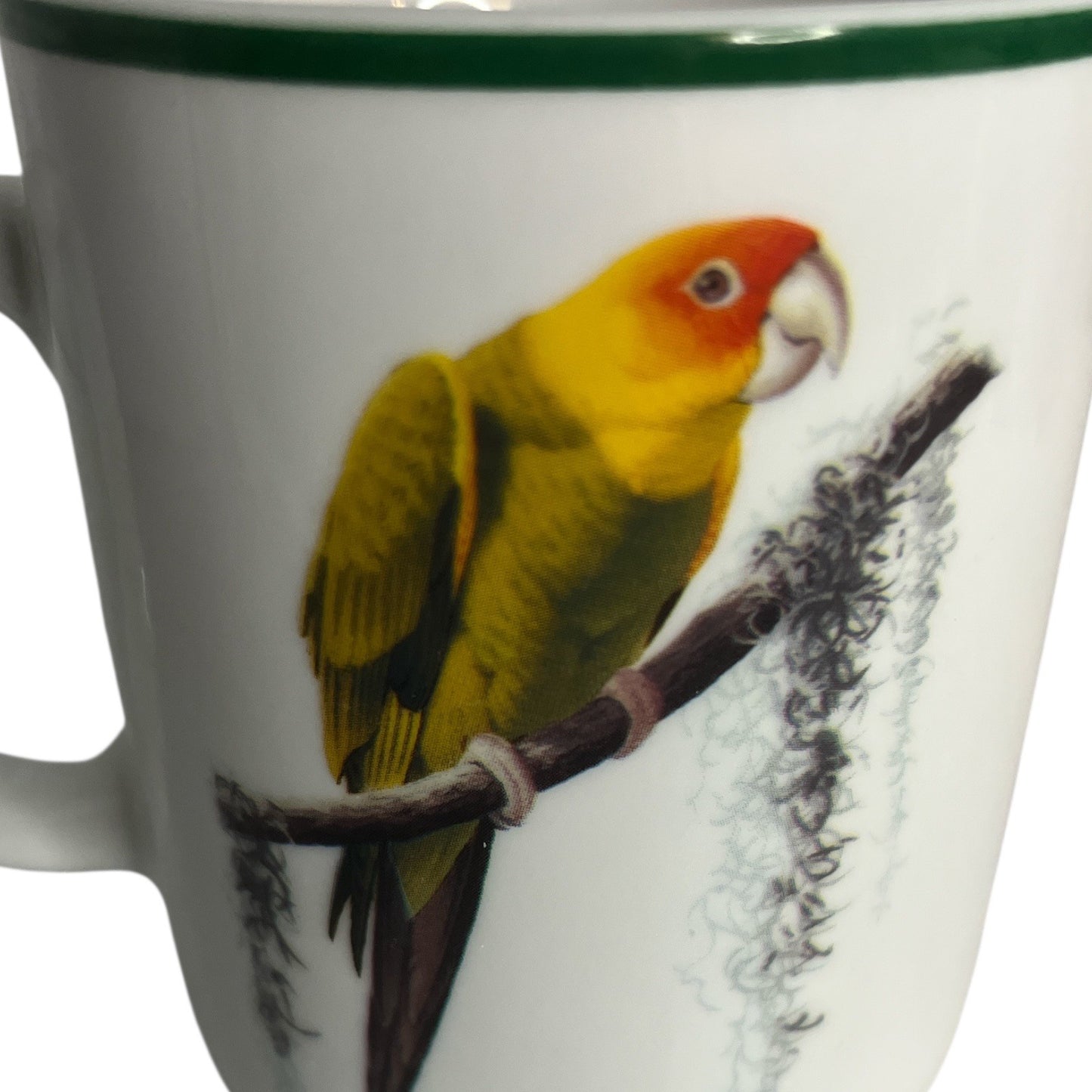 Set of 4 National Wildlife Federation Parrot Mugs – Colorful Tropical Birds – 4 x 3.5” – Unused – c. 2000s