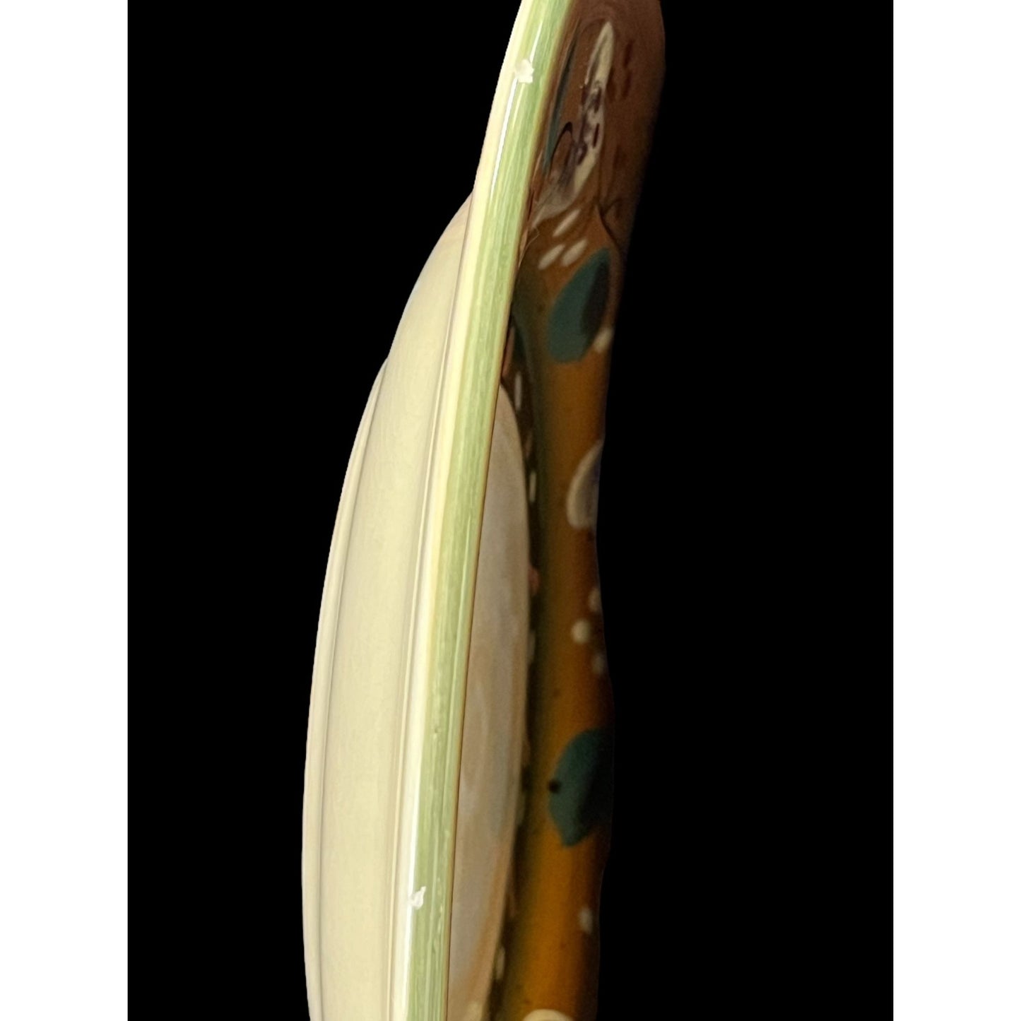 Corsica Home Brigette Handcrafted Dinner Plate 11" Floral Rustic Crackle Glaze