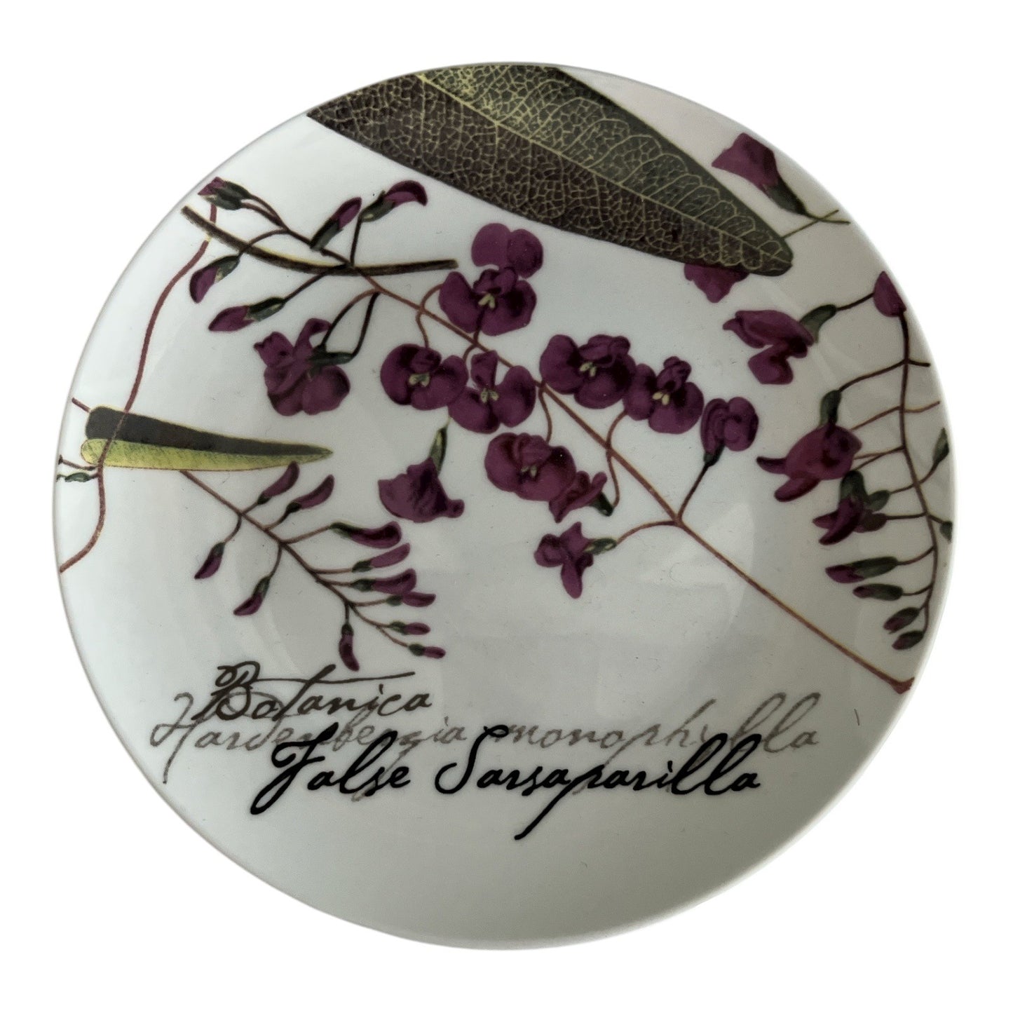 Maxwell & Williams The Gardens Table Botanic Plates – False Sarsaparilla – 2007 – Fine Bone China
