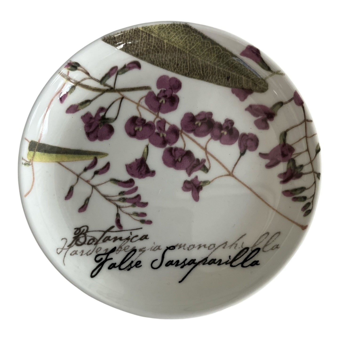Maxwell & Williams The Gardens Table Botanic Plates – False Sarsaparilla – 2007 – Fine Bone China