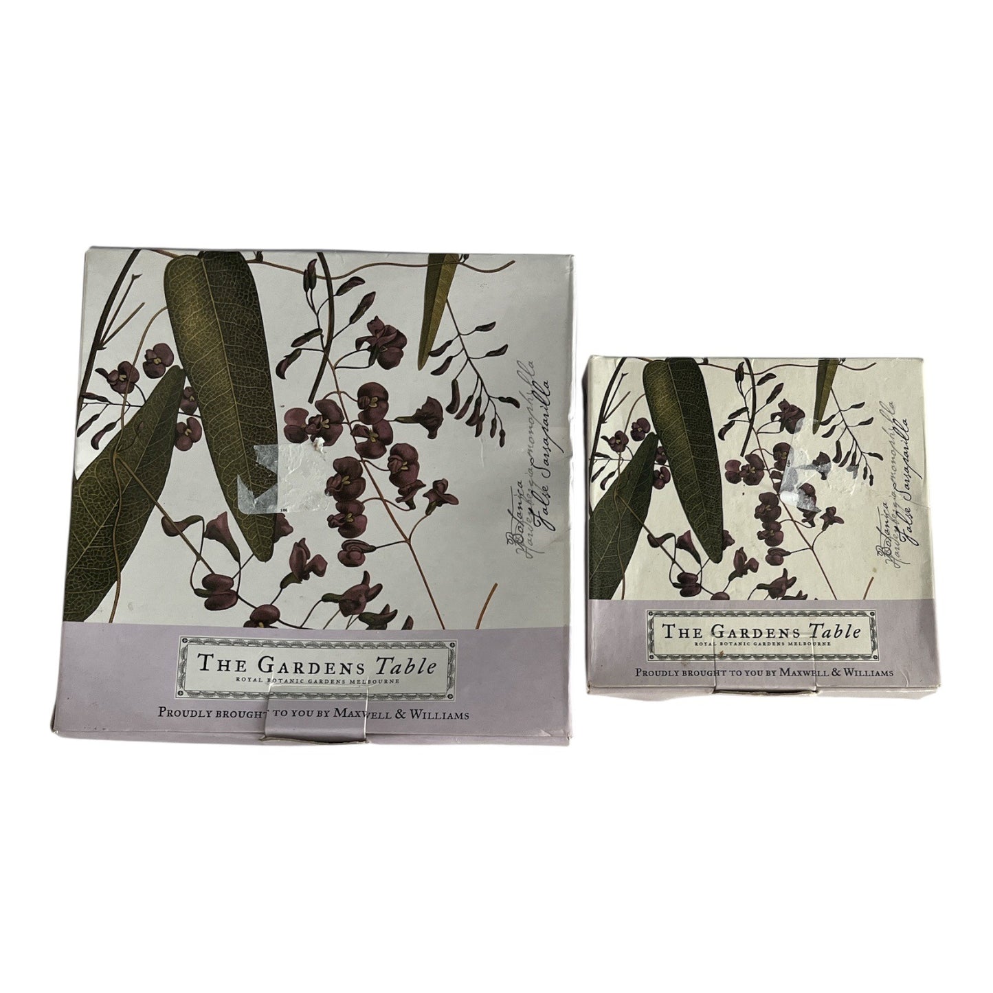 Maxwell & Williams The Gardens Table Botanic Plates – False Sarsaparilla – 2007 – Fine Bone China