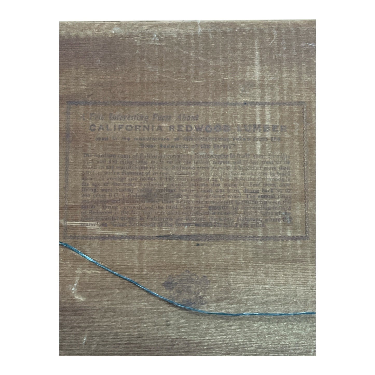 Vintage California Redwood Tray – Scenic Etched Design, 1940s–60s Souvenir, 14x7.5”