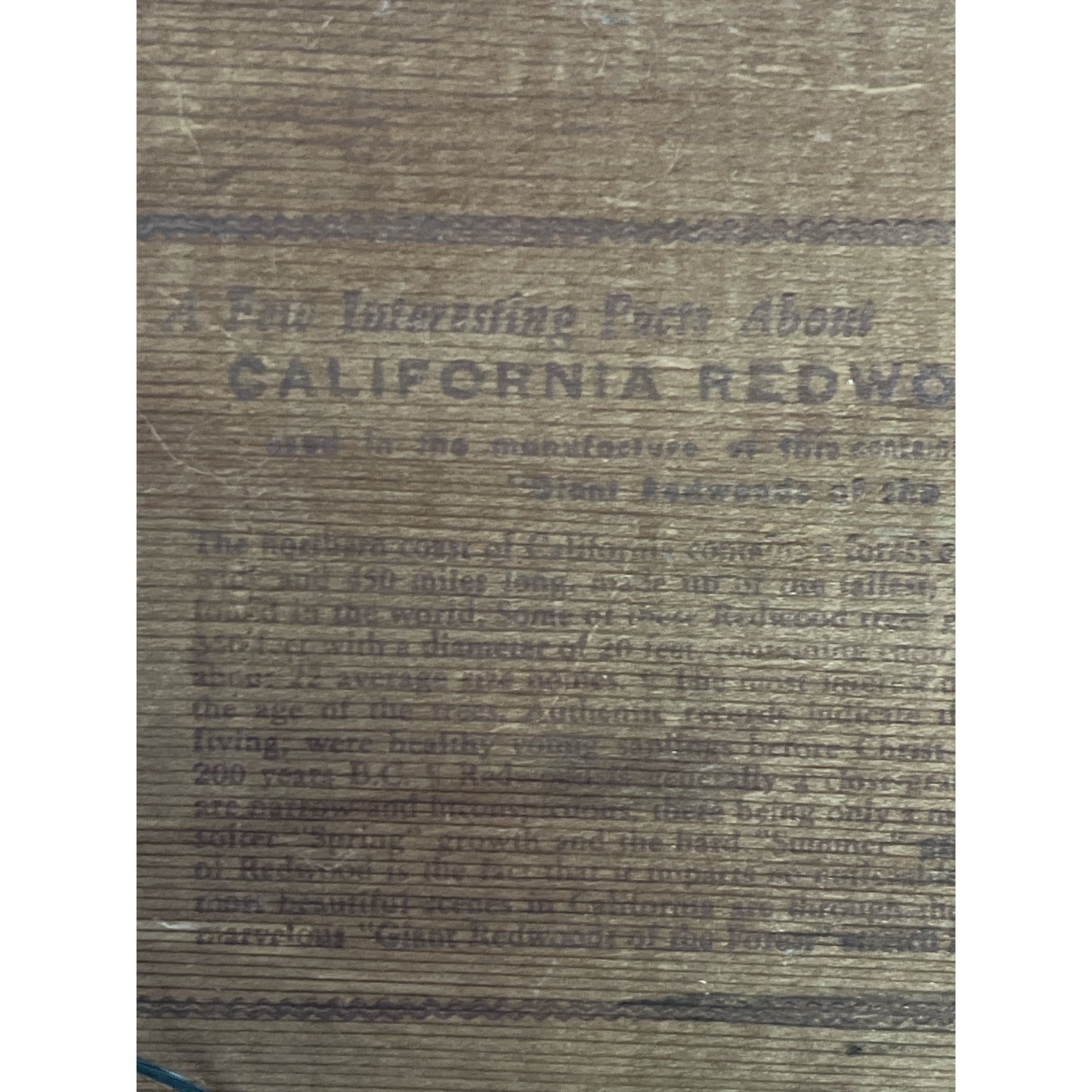 Vintage California Redwood Tray – Scenic Etched Design, 1940s–60s Souvenir, 14x7.5”