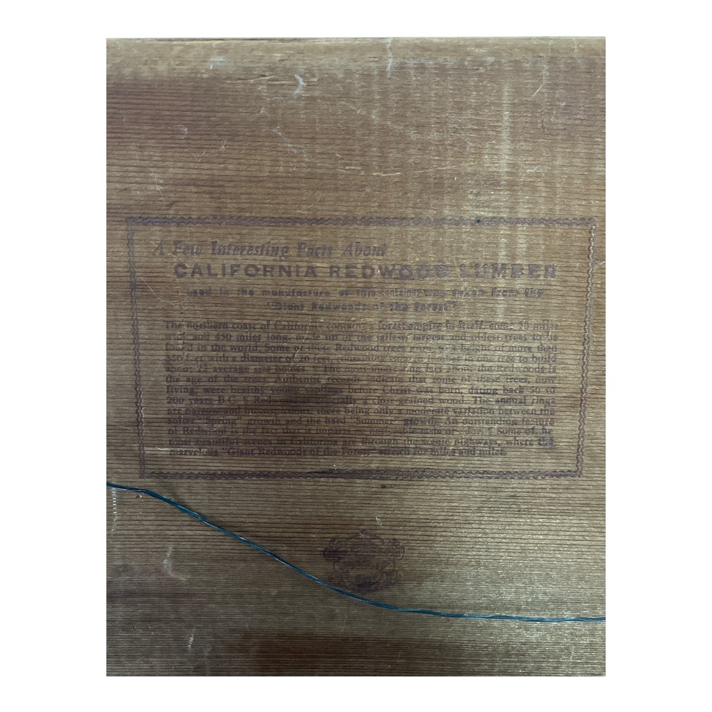Vintage California Redwood Tray – Scenic Etched Design, 1940s–60s Souvenir, 14x7.5”