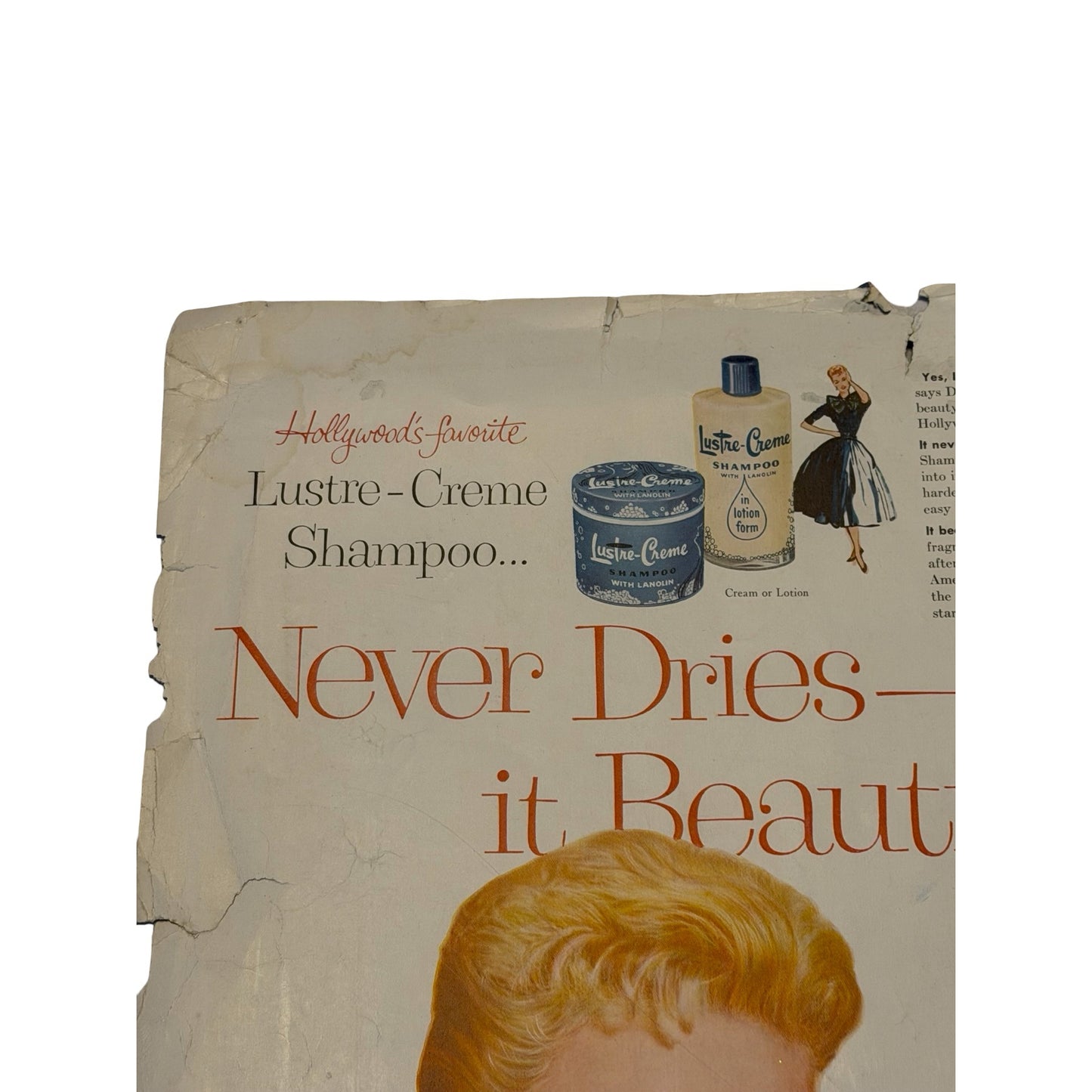 Vintage 1955 Ladies' Home Journal Cover Poster "Two Beauties" with White Dog Plus Doris Day Lustre-Creme Ad Print Set