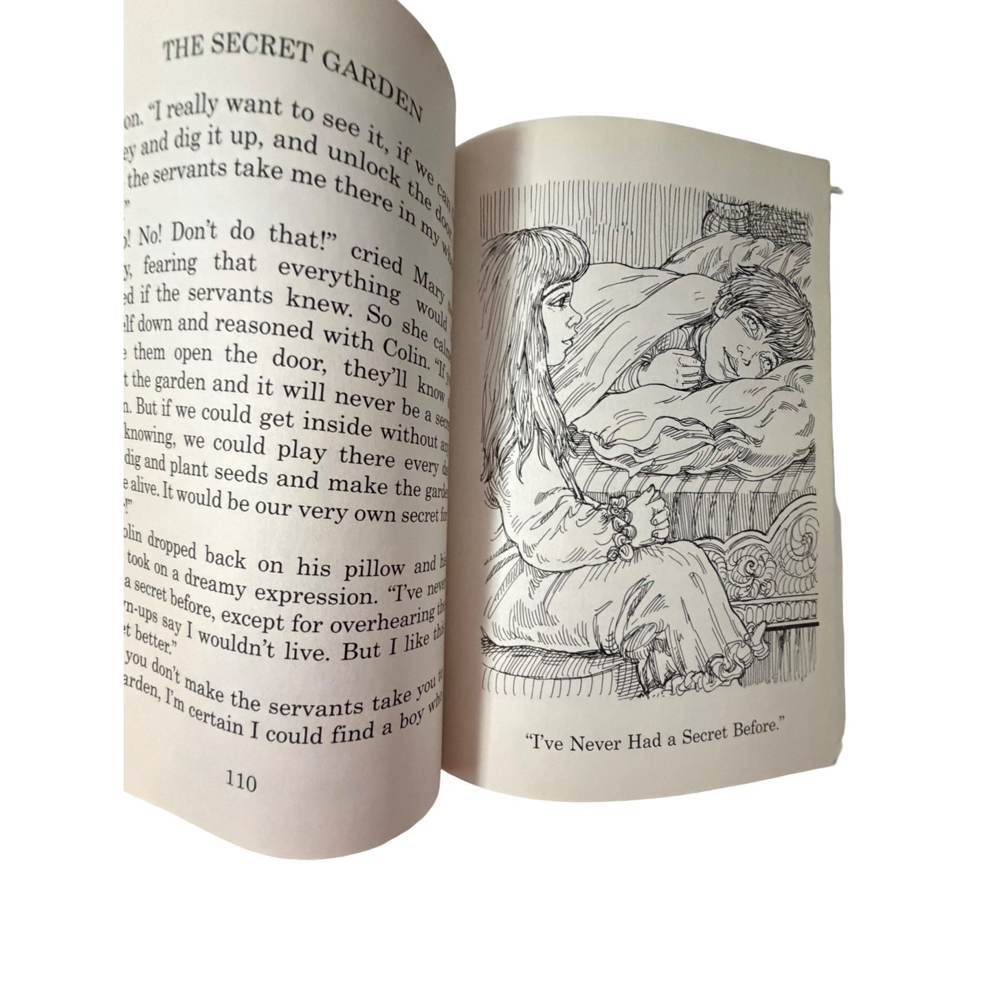 Great Illustrated Classics The Secret Garden by Frances Hodgson Burnett Hardcover