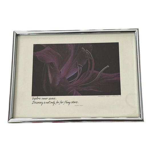 1980 James H. Carmichael Jr. Orchid Photography Print – The Freelance Collection Miniatures