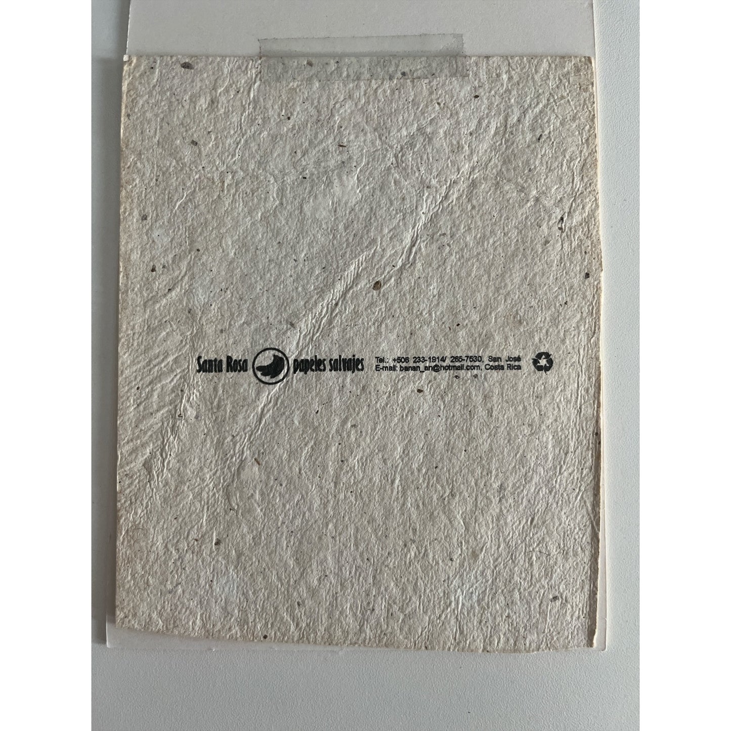 VTG Handmade Costa Rica Quetzal Bird Bark Paper Art – Thomasville 5x7 Frame