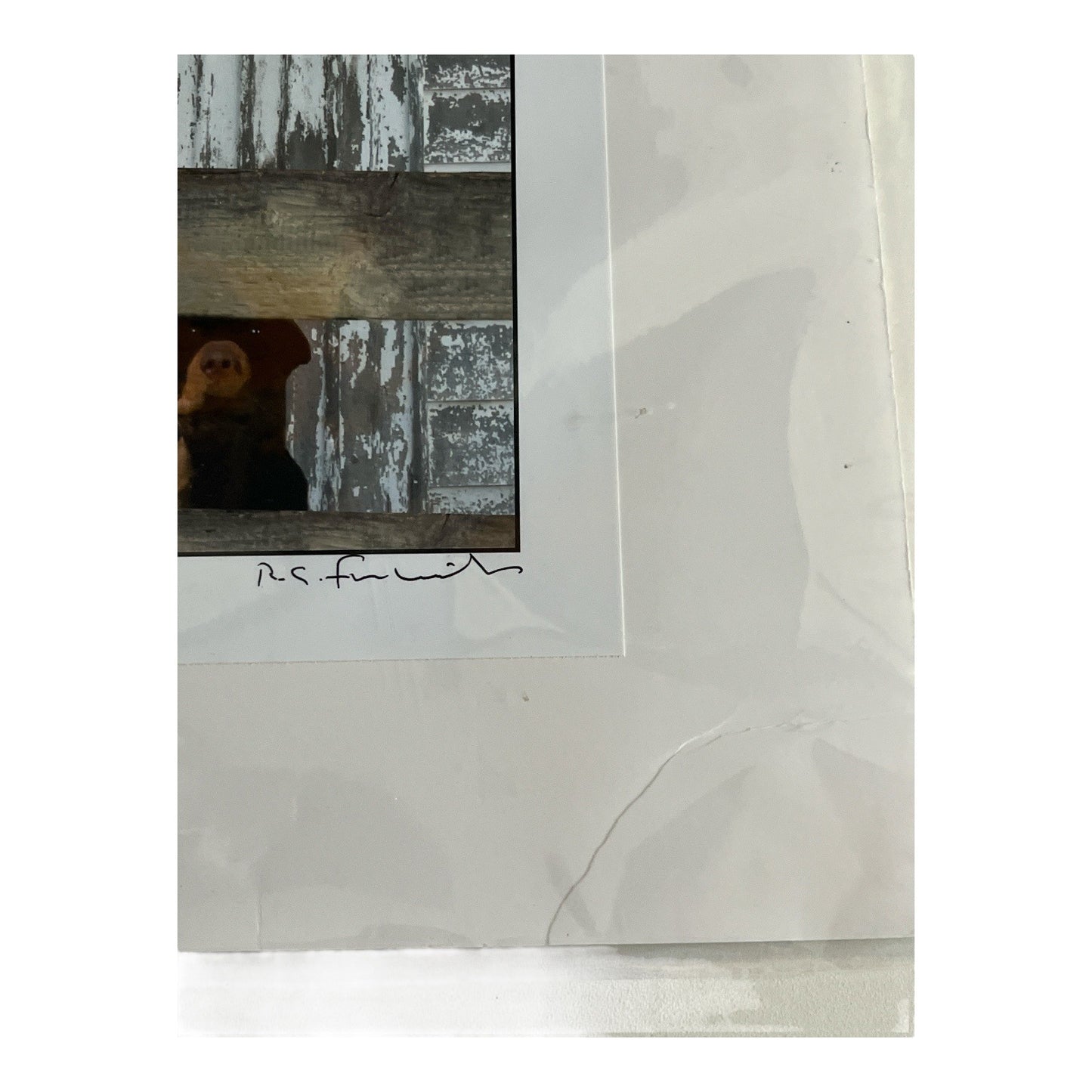 R.C. Fulwiler Signed Archival Inkjet Photograph “Ring Bell and Run…” – Bad Dog Humor Rustic Barn Print