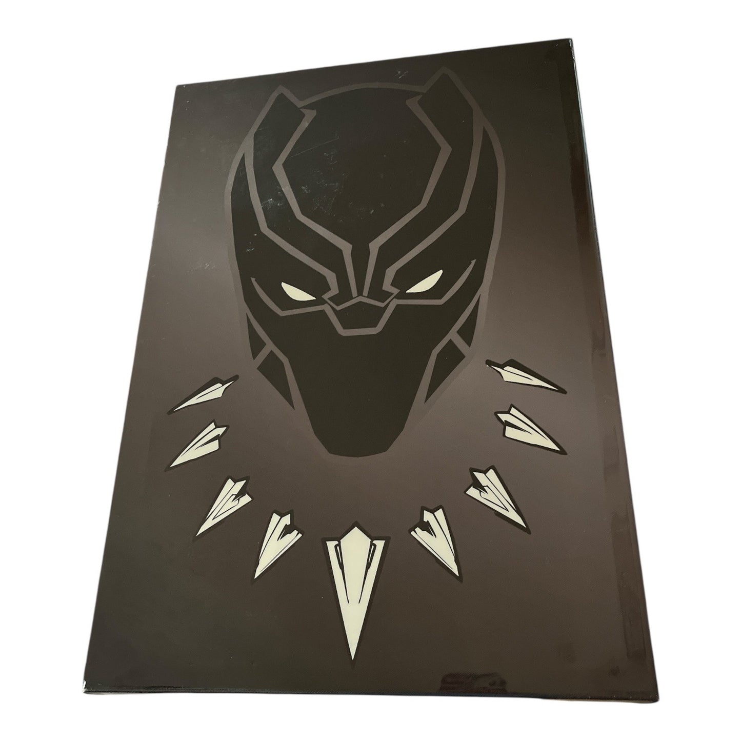 Marvel Black Panther Wall Art Canvas Wakanda Mask Graphic 20.5x14