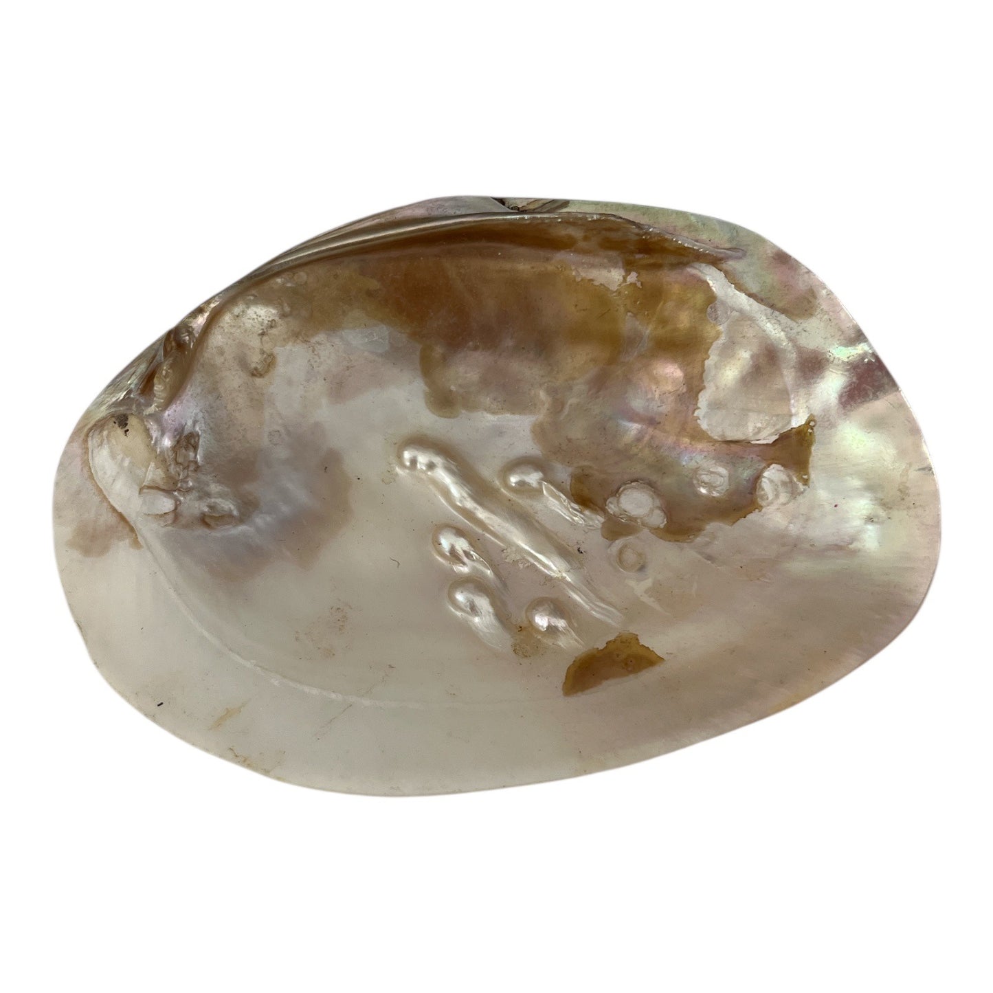 Natural Mother of Pearl Shell Dish – Iridescent Coastal Decor – 6x4.25 Inch Polished Seashell