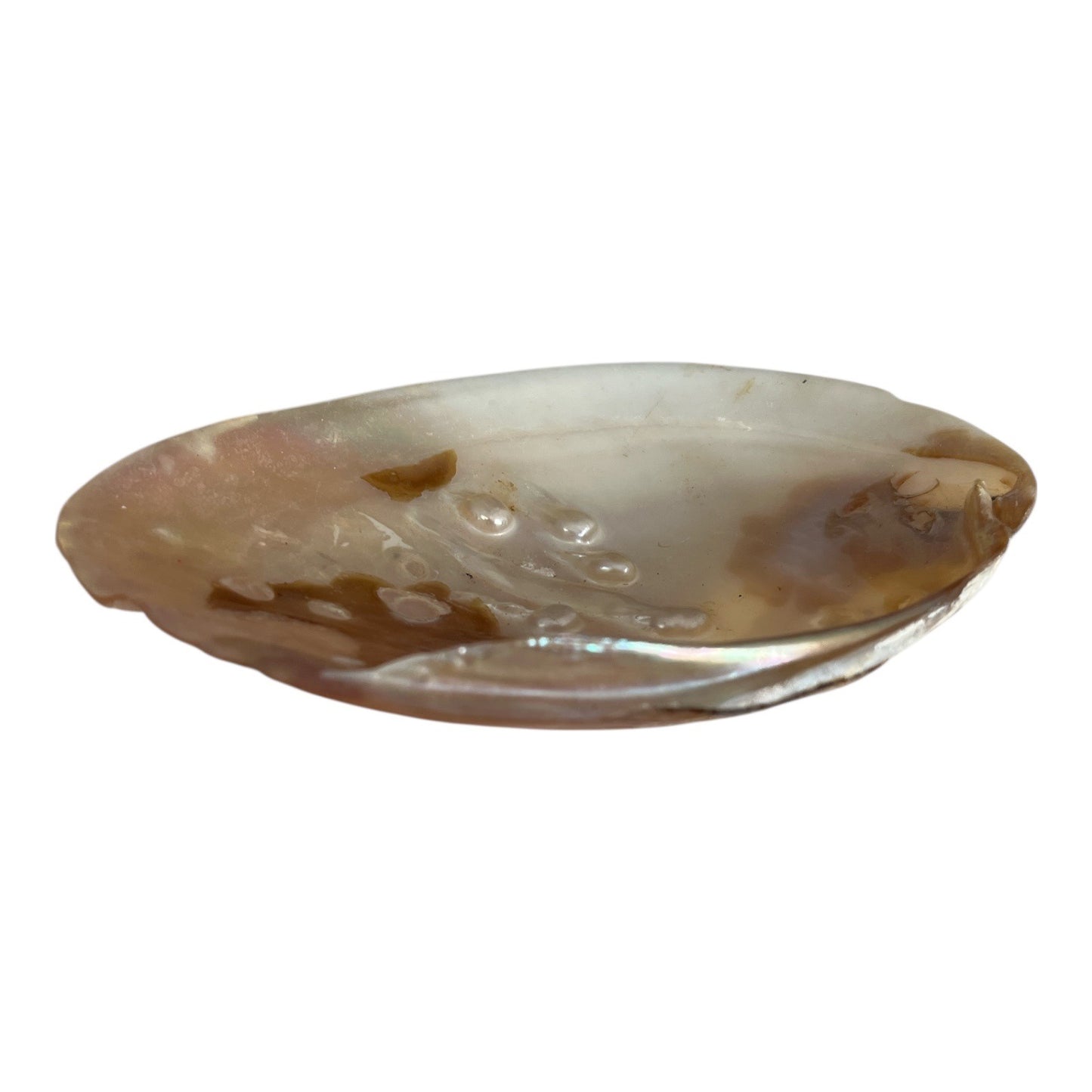 Natural Mother of Pearl Shell Dish – Iridescent Coastal Decor – 6x4.25 Inch Polished Seashell
