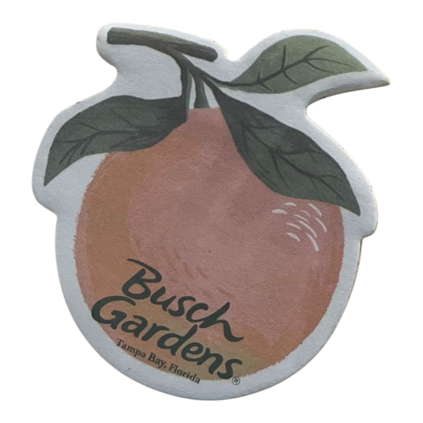Busch Gardens Sticky Notes – Discontinued Citrus-Themed Memo Pad Set – 4 Designs – Tampa Bay Florida