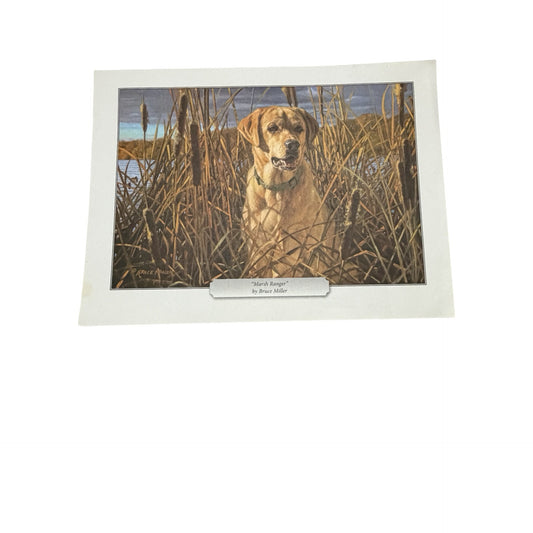 Bruce Miller Marsh Ranger Labrador Retriever Hunting Dog Wildlife Print 11.5x8.5