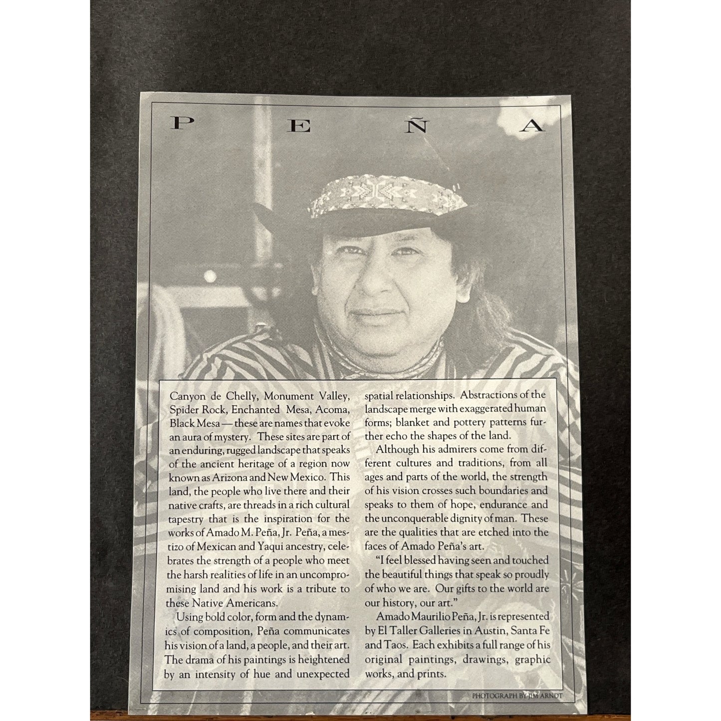 Framed Native American Art Print by Amado M. Peña Jr. Signed Southwest Indigenous Portrait Scene