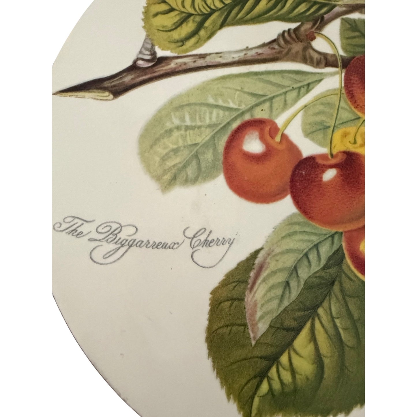 Portmeirion Pomona "The Bigarreau Cherry" Cork Back Trivet Susan Williams-Ellis Made in England