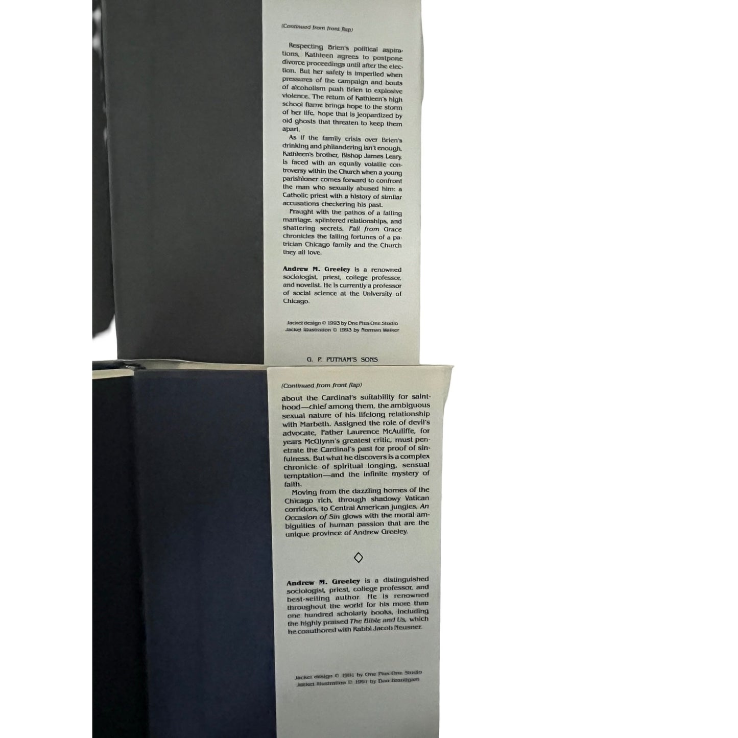 Andrew M Greeley Book Lot Fall From Grace An Occasion of Sin Hardcover 1990s