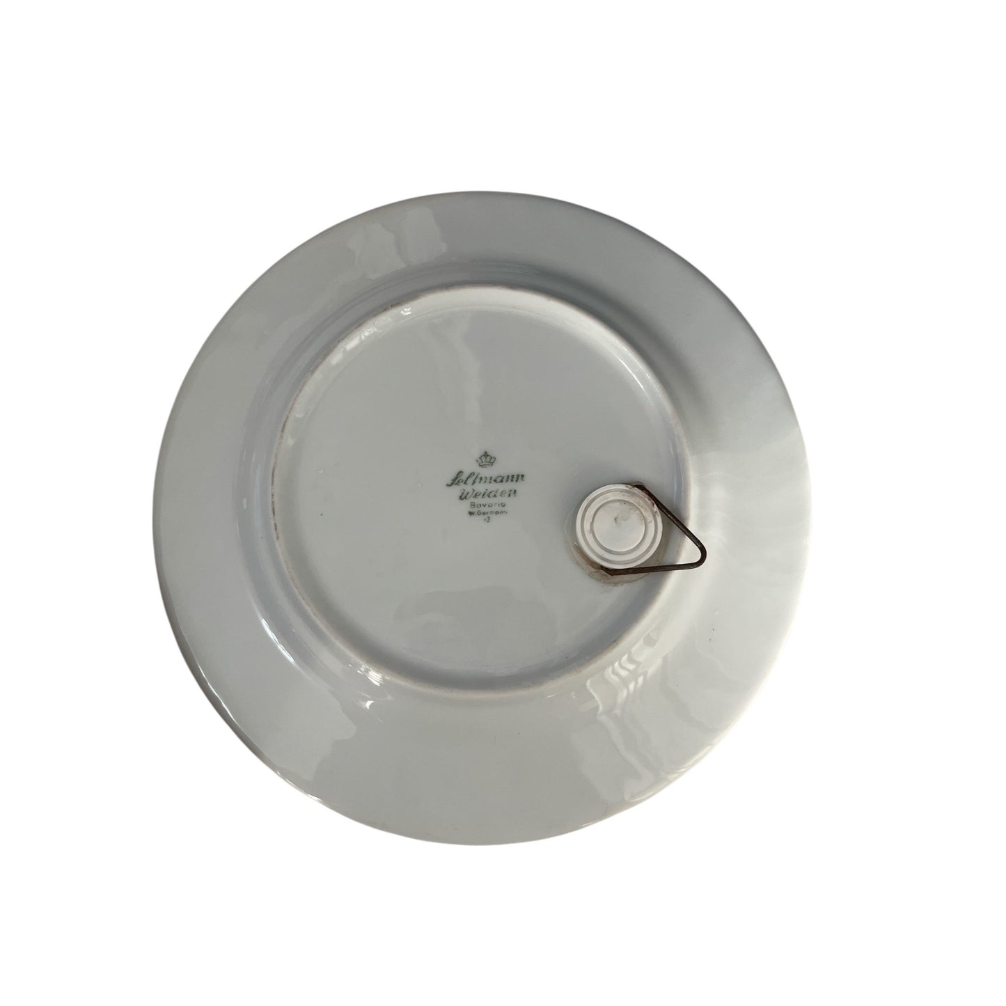 Vintage Selmann Weiden Bavaria Pisa Souvenir Plate Italy Torre Pendente 8 Inch