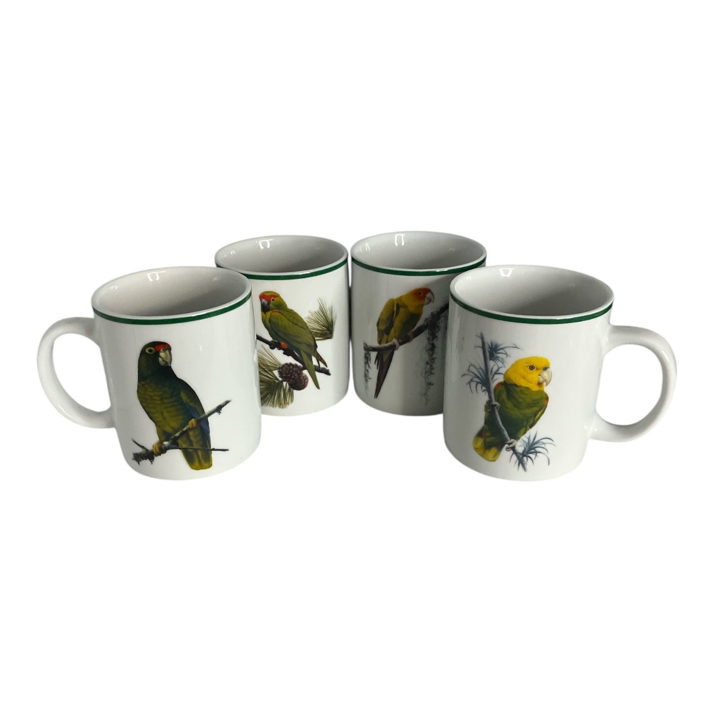 Set of 4 National Wildlife Federation Parrot Mugs – Colorful Tropical Birds – 4 x 3.5” – Unused – c. 2000s