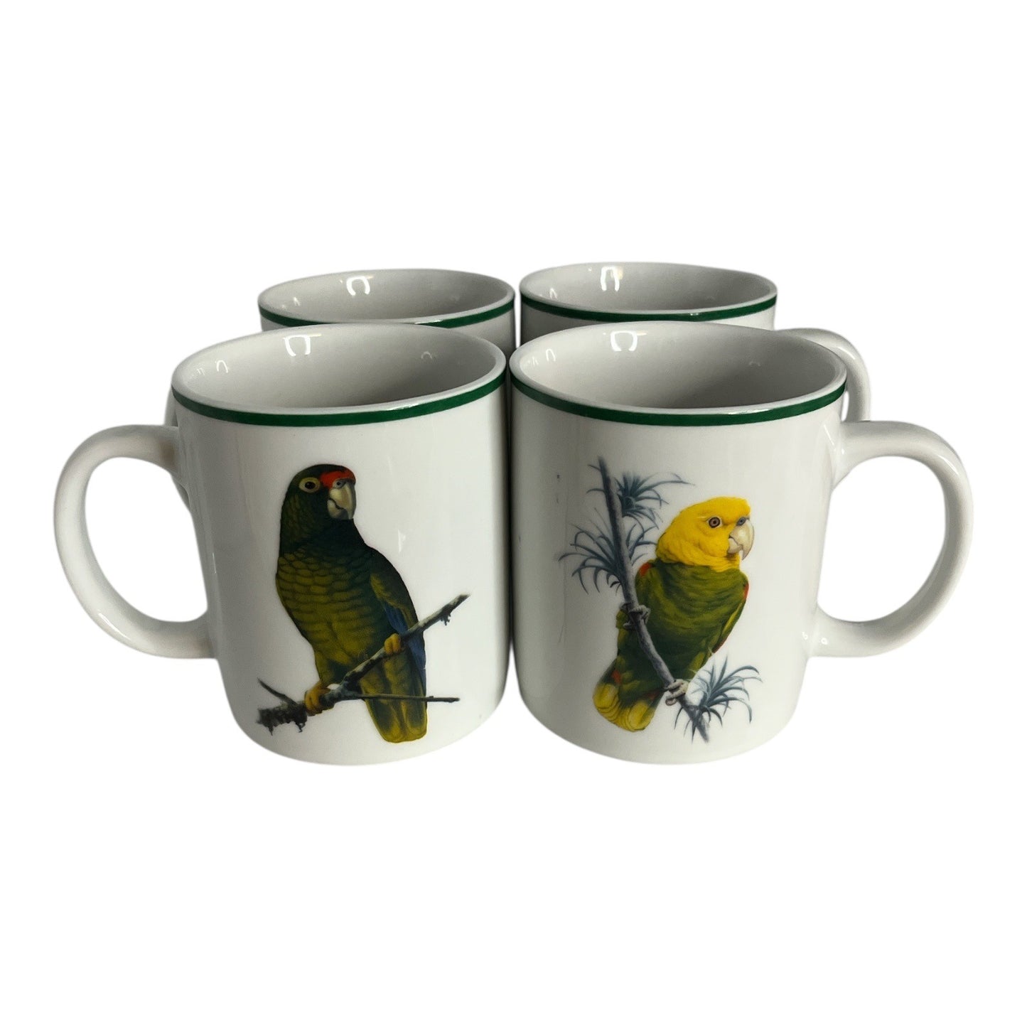 Set of 4 National Wildlife Federation Parrot Mugs – Colorful Tropical Birds – 4 x 3.5” – Unused – c. 2000s