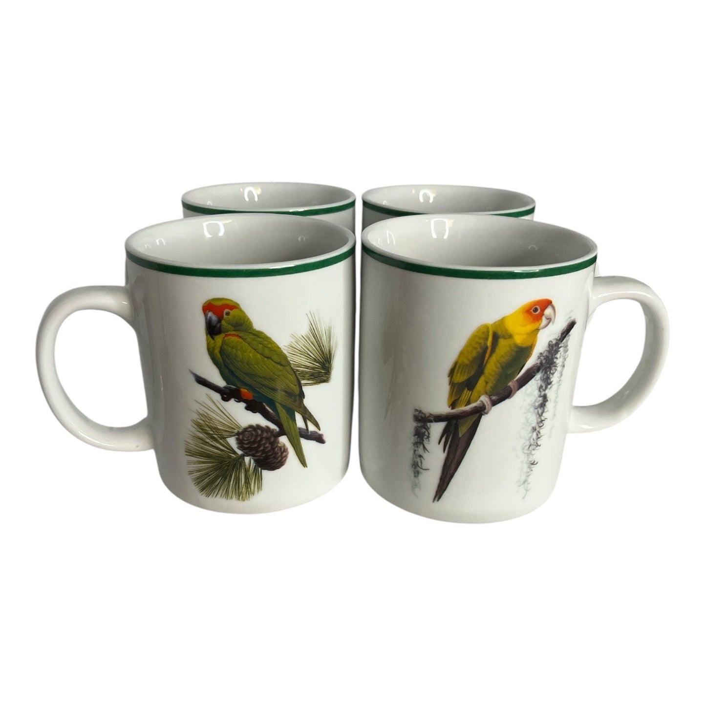 Set of 4 National Wildlife Federation Parrot Mugs – Colorful Tropical Birds – 4 x 3.5” – Unused – c. 2000s