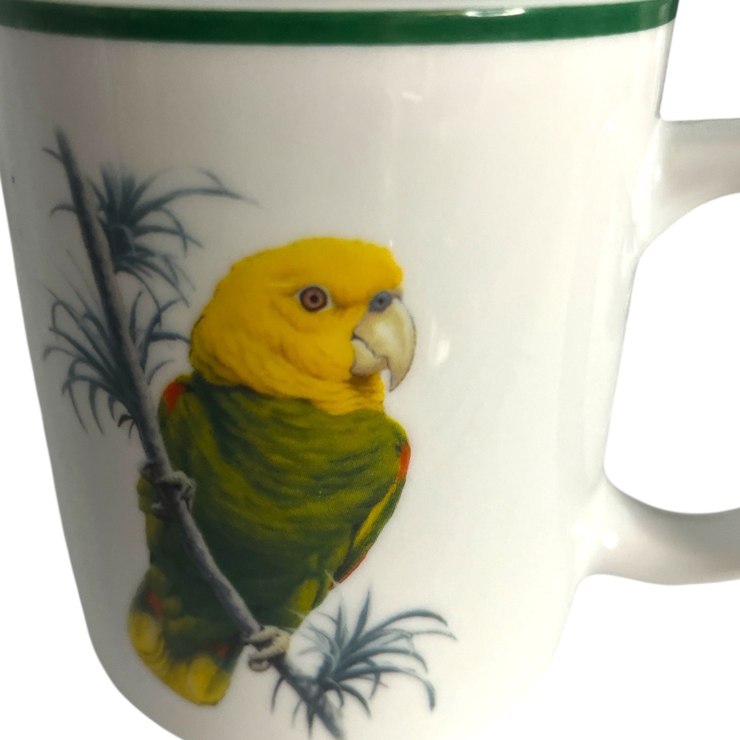 Set of 4 National Wildlife Federation Parrot Mugs – Colorful Tropical Birds – 4 x 3.5” – Unused – c. 2000s