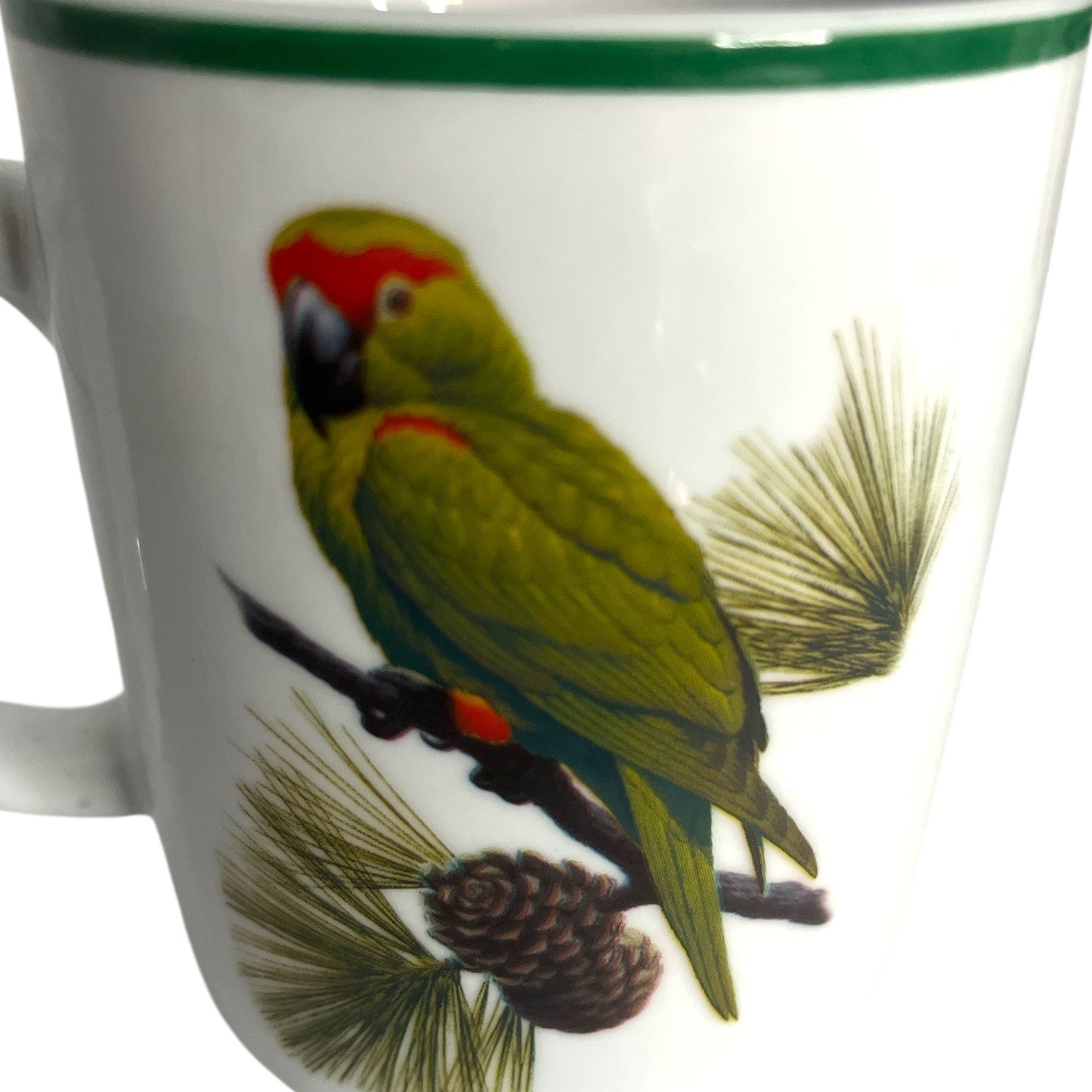 Set of 4 National Wildlife Federation Parrot Mugs – Colorful Tropical Birds – 4 x 3.5” – Unused – c. 2000s
