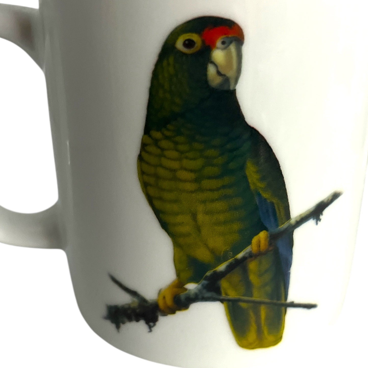 Set of 4 National Wildlife Federation Parrot Mugs – Colorful Tropical Birds – 4 x 3.5” – Unused – c. 2000s