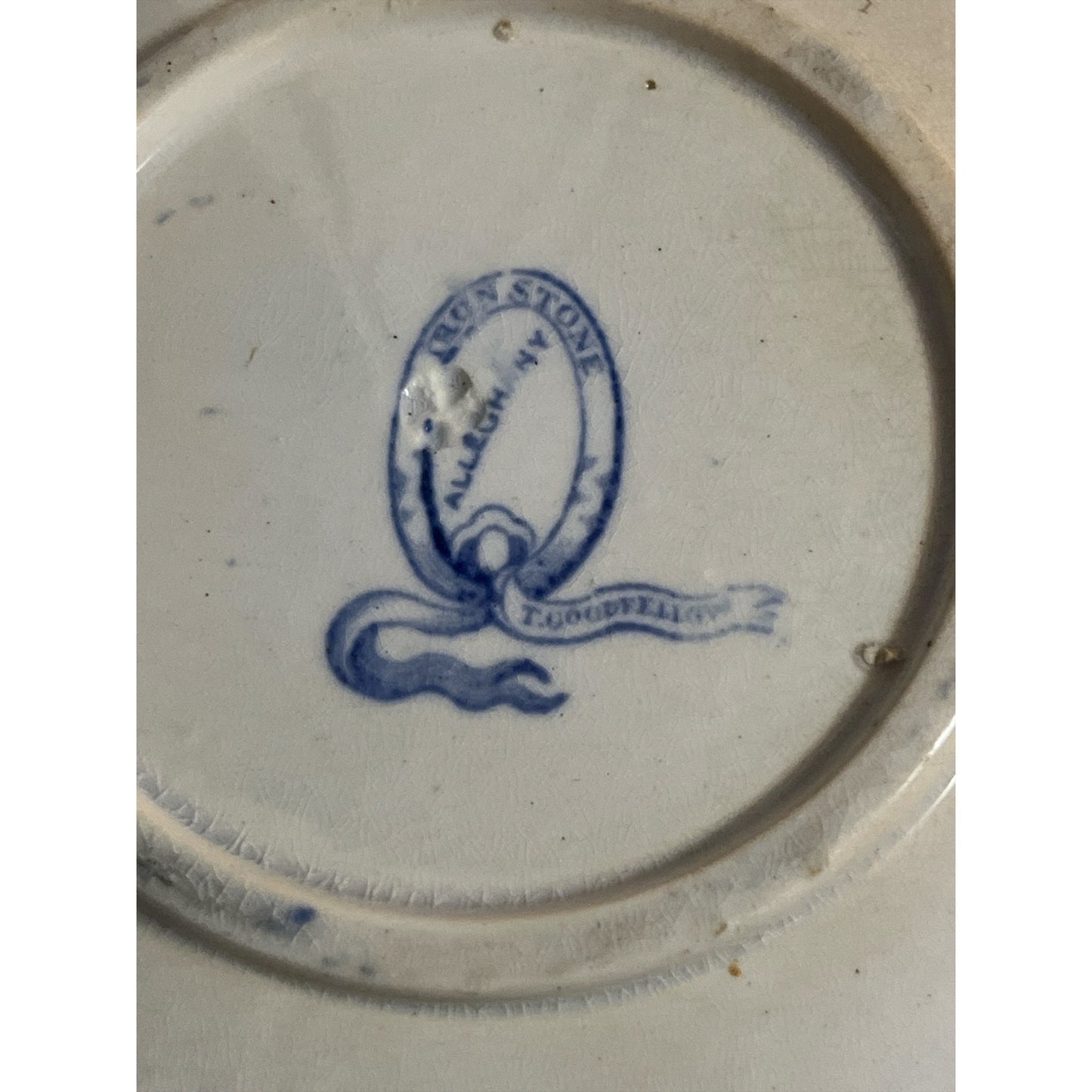 Antique T. Goodfellow Ironstone Blue Transferware Plate 19th Century