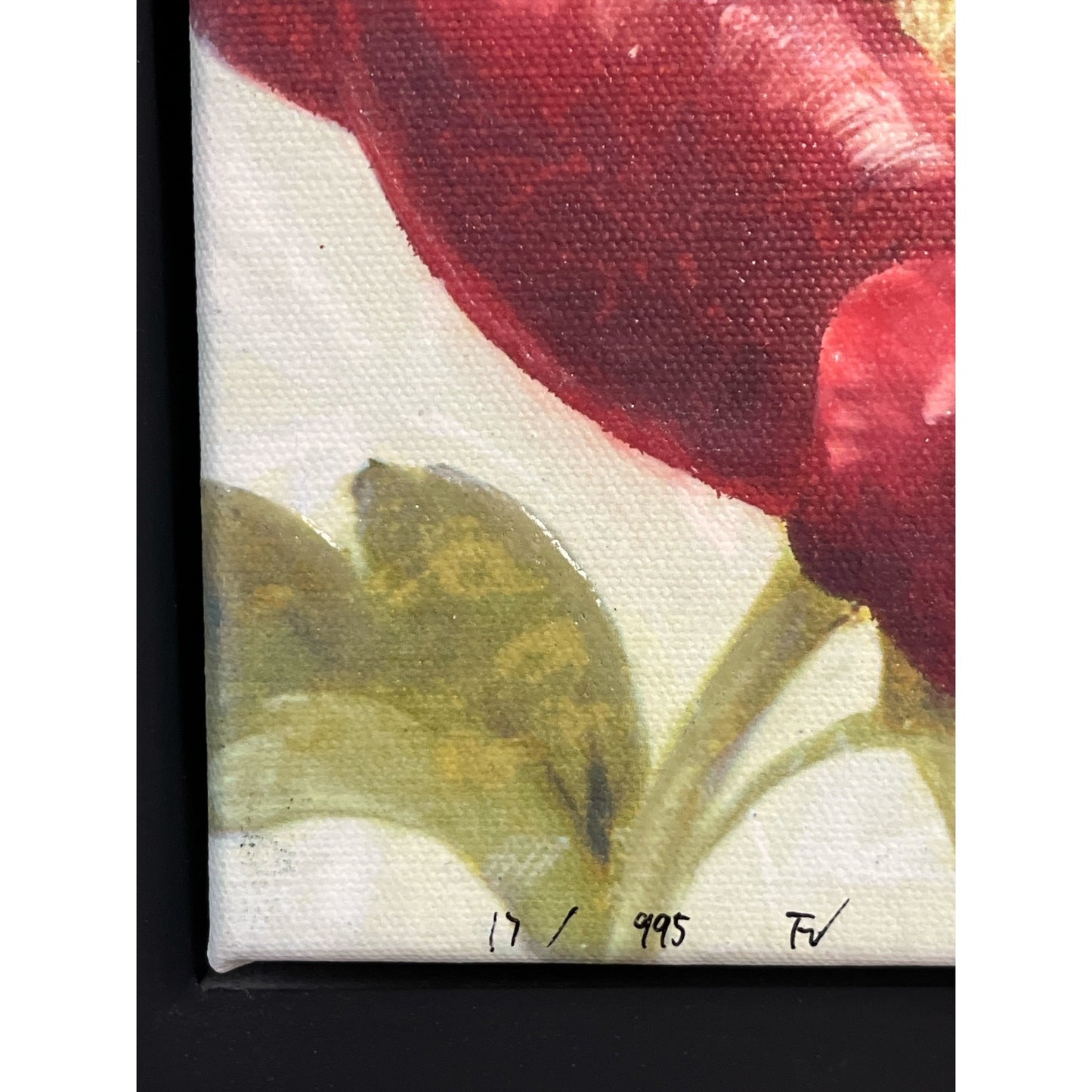 Fabrice de Villeneuve Anémones de Jardin Limited Edition Giclée Canvas Framed Floral Wall Art