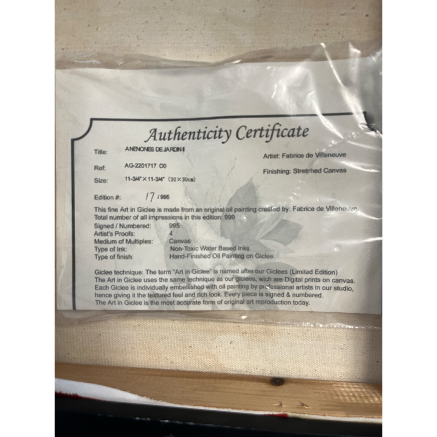 Fabrice de Villeneuve Anémones de Jardin Limited Edition Giclée Canvas Framed Floral Wall Art