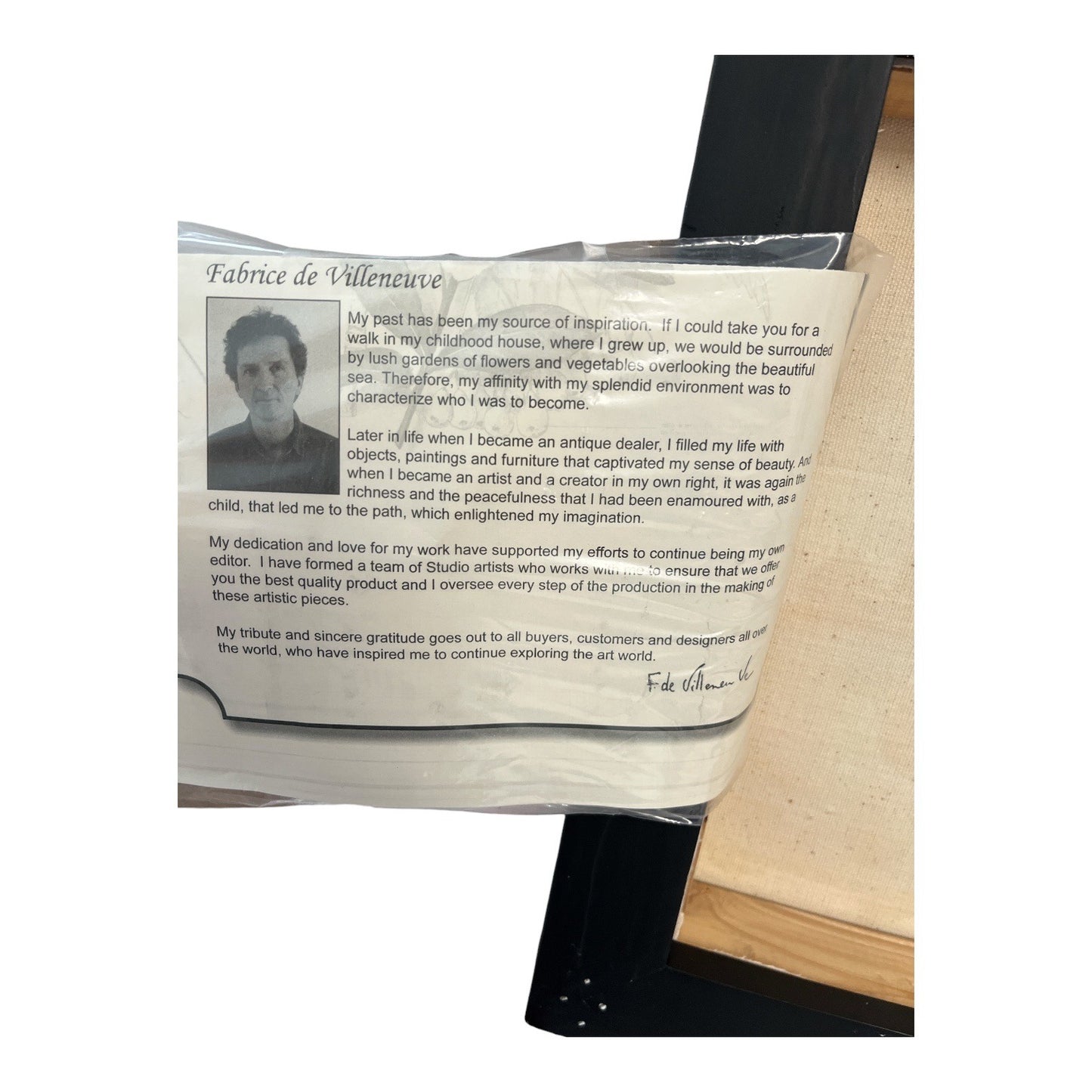 Fabrice de Villeneuve Anémones de Jardin Limited Edition Giclée Canvas Framed Floral Wall Art