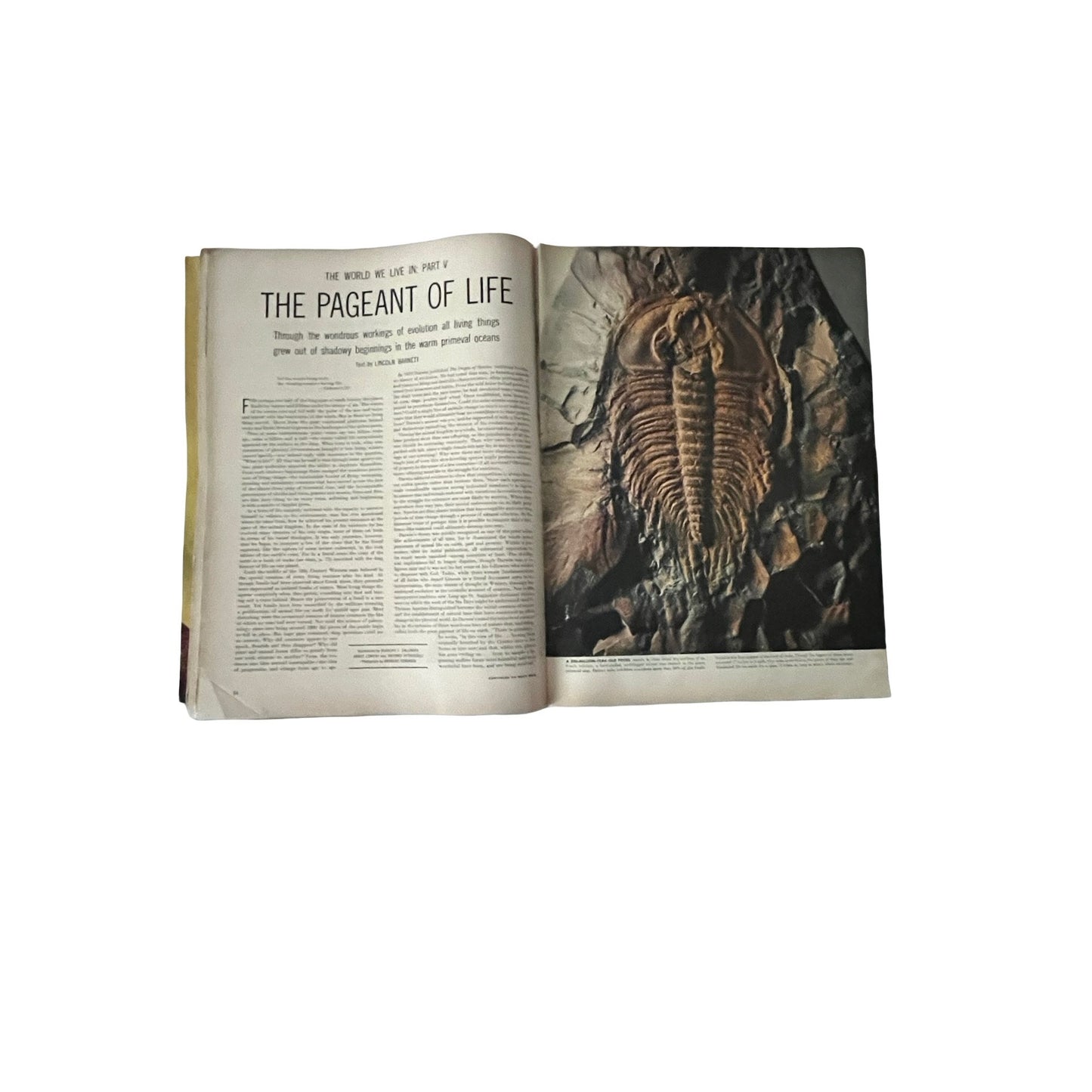 Vintage LIFE Magazine Lot 1953 1960 Dinosaurs Minuteman Mid Century Ads Americana