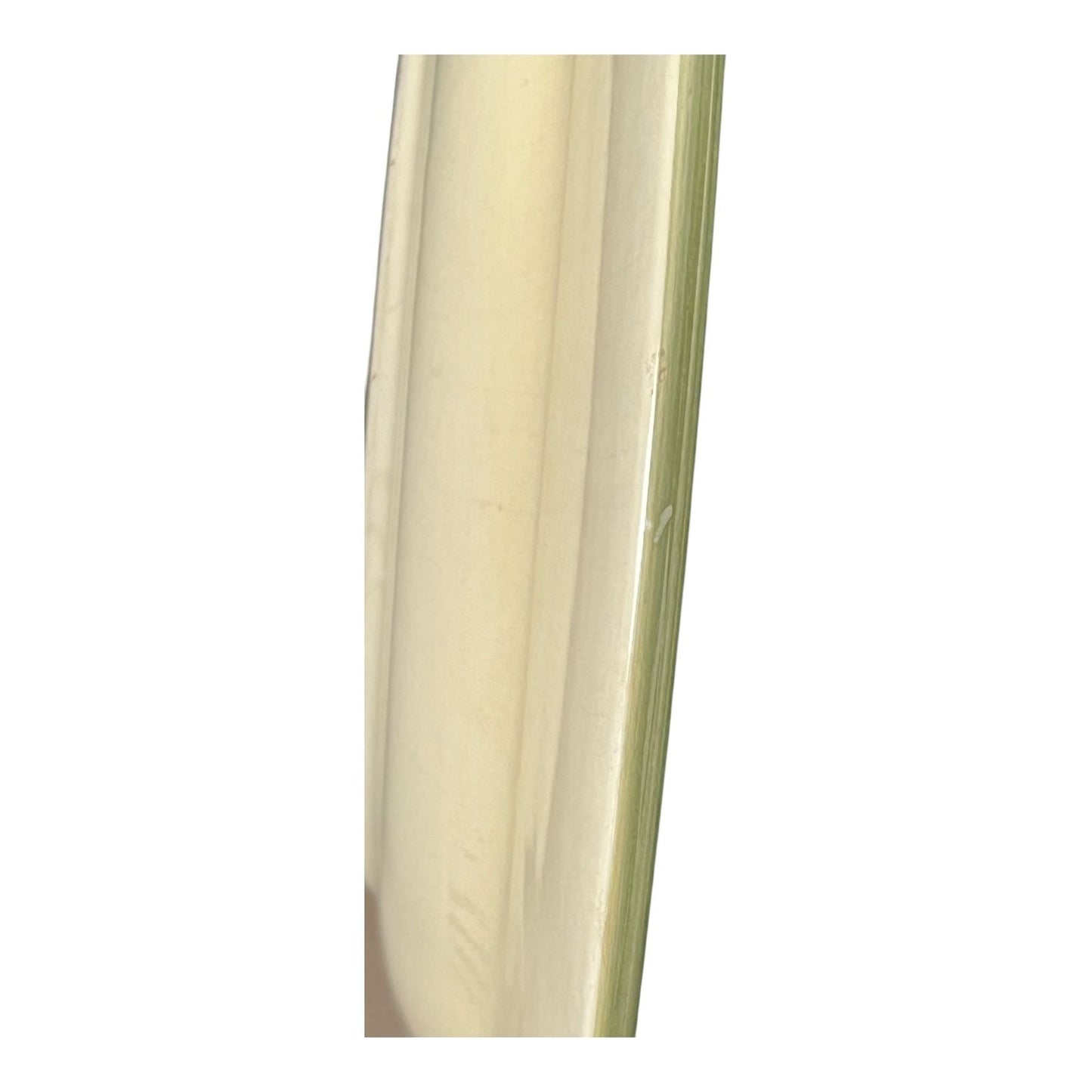 Corsica Home Brigette Handcrafted Dinner Plate 11" Floral Rustic Crackle Glaze