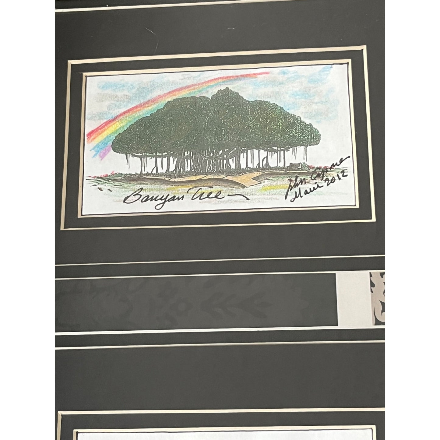 Framed Maui Hawaii Art Banyan Tree Hibiscus Sea Turtle John Capan 2012 Tropical Wall Decor 23x13