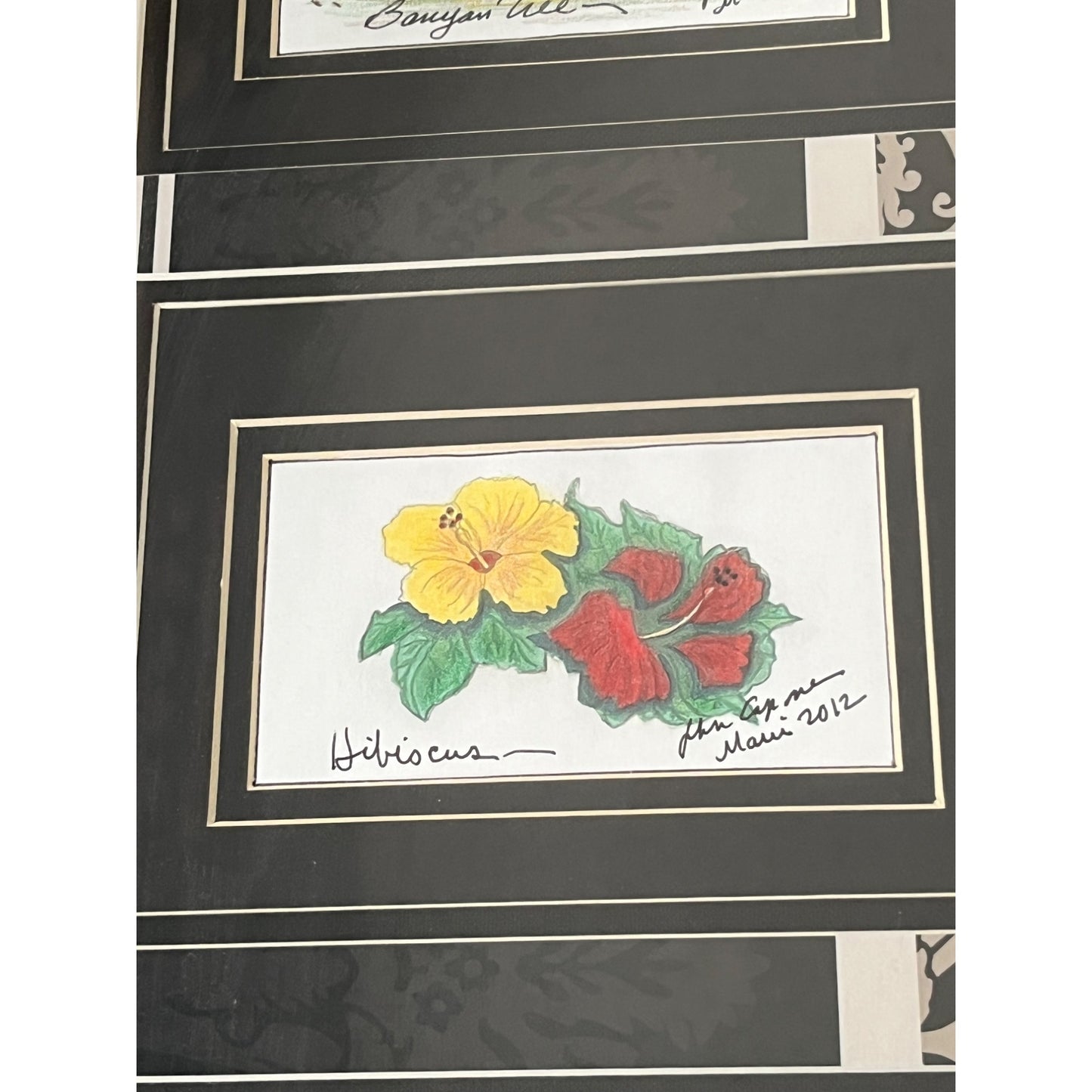 Framed Maui Hawaii Art Banyan Tree Hibiscus Sea Turtle John Capan 2012 Tropical Wall Decor 23x13