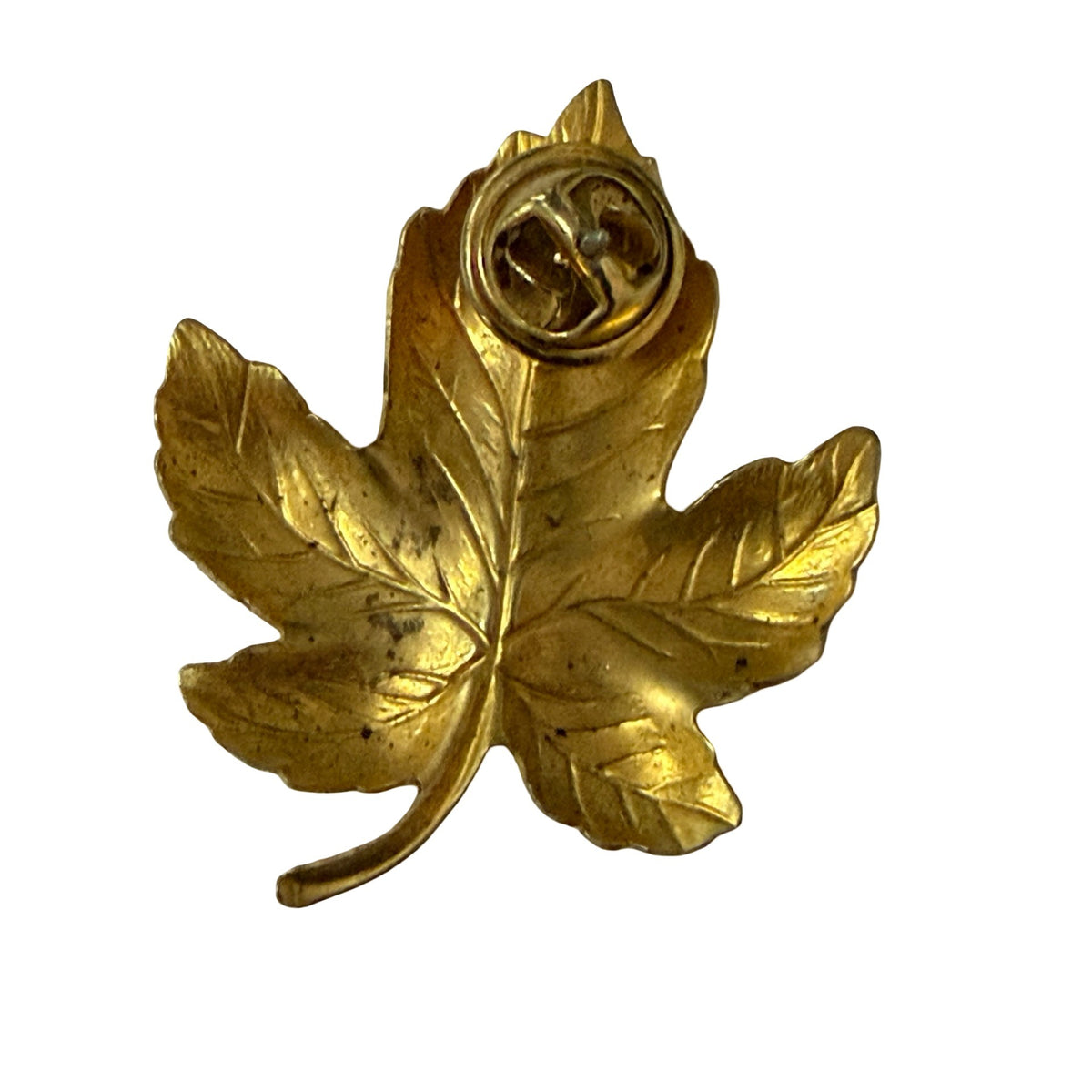 Vintage Gold Tone Fig Leaf Pin 2 Inch Botanical Costume Jewelry