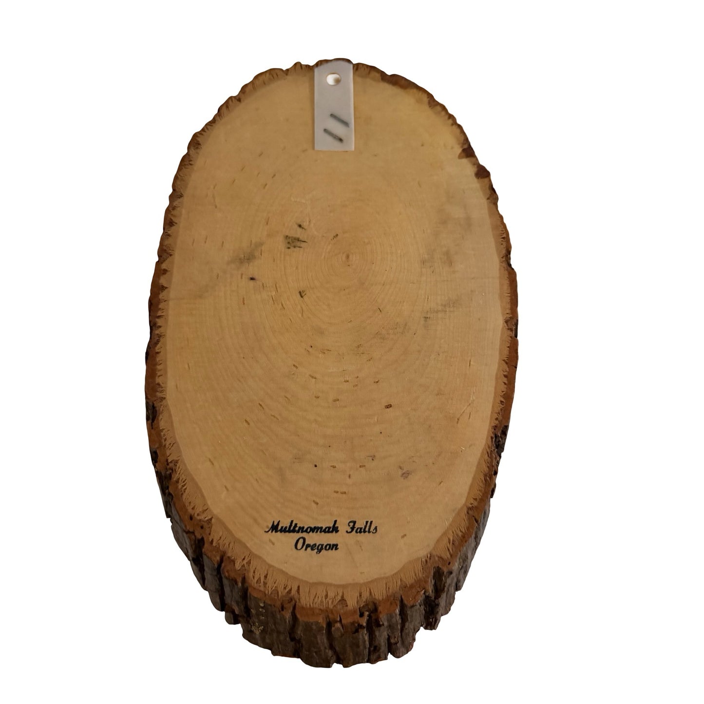 Vintage Multnomah Falls Oregon Native American Wood Slice Wall Plaque 12x7