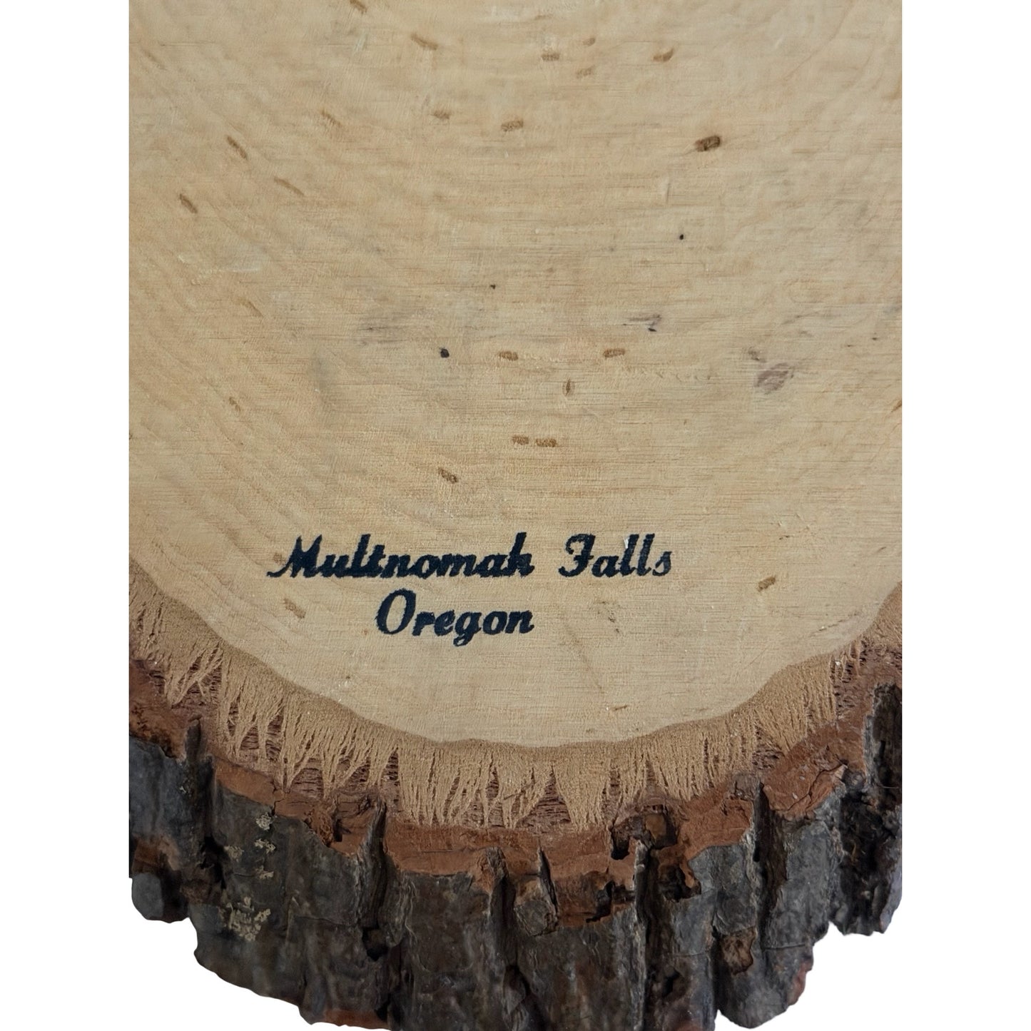 Vintage Multnomah Falls Oregon Native American Wood Slice Wall Plaque 12x7