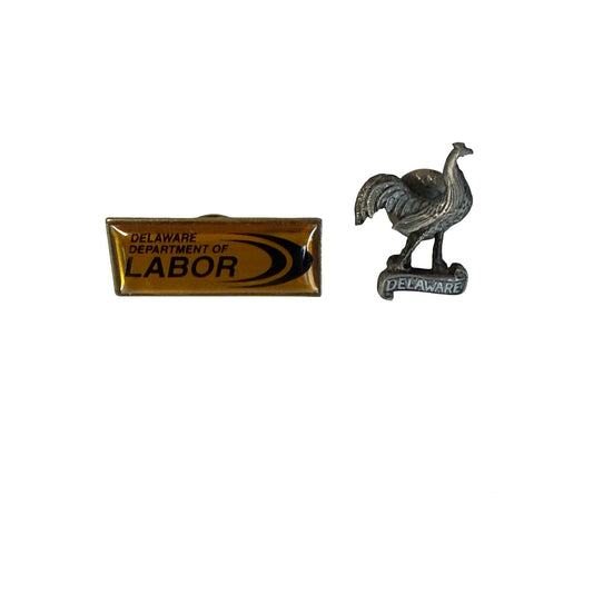 Vintage Delaware Pin Lot Department of Labor International Society Skilled Trades Blue Hen