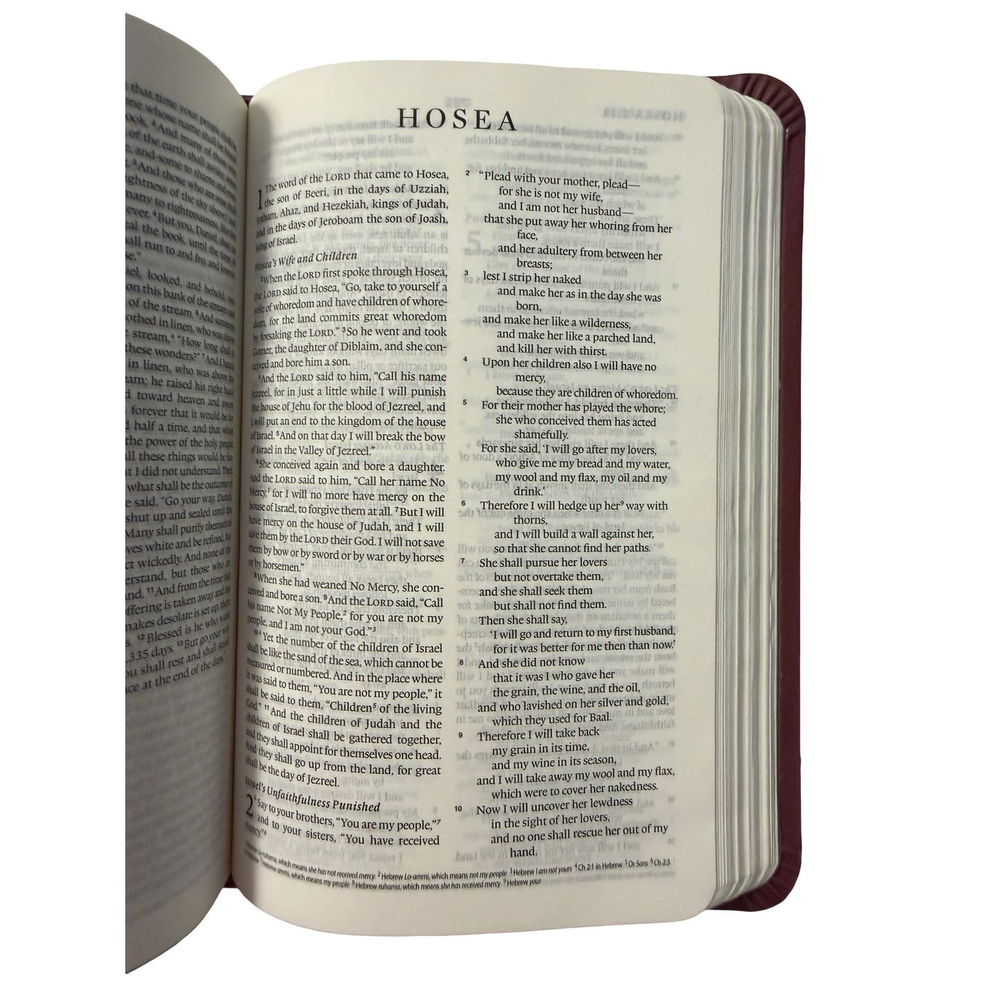ESV Holy Bible English Standard Version Thinline Compact Edition Burgundy Crossway