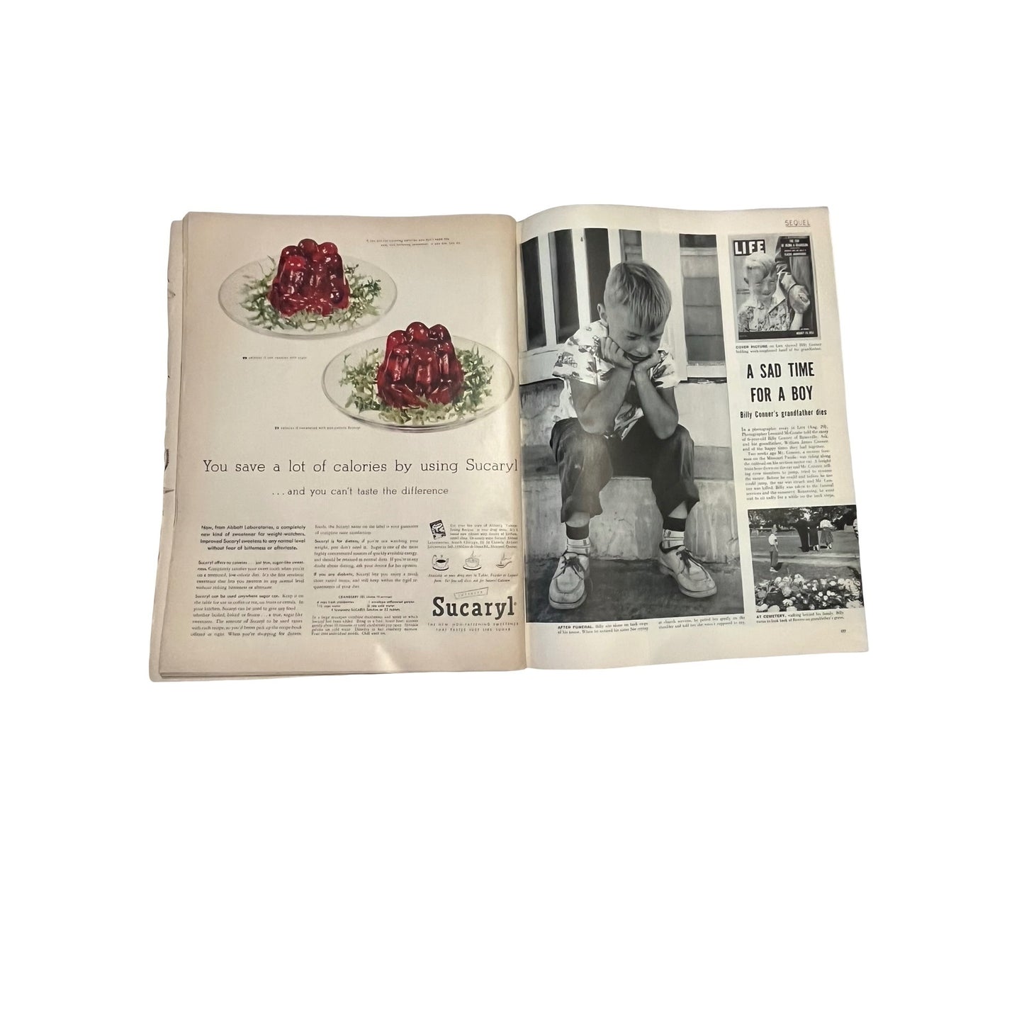 Vintage LIFE Magazine Lot 1955 January 17 & October 24 Issues Mid Century Ads Americana Ephemera