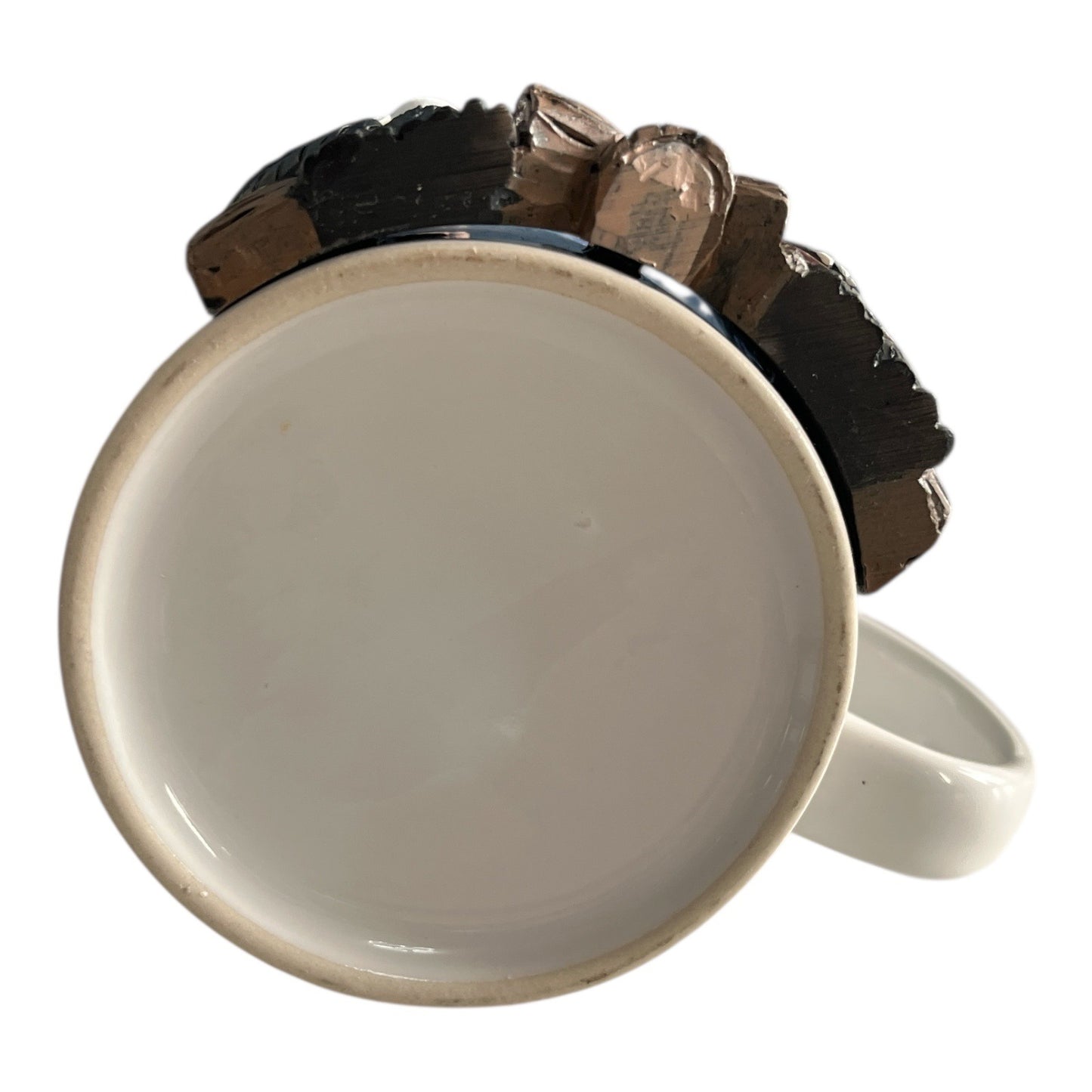 Vintage Great Smoky Mountains Black Bear Campfire 3D Souvenir Mug