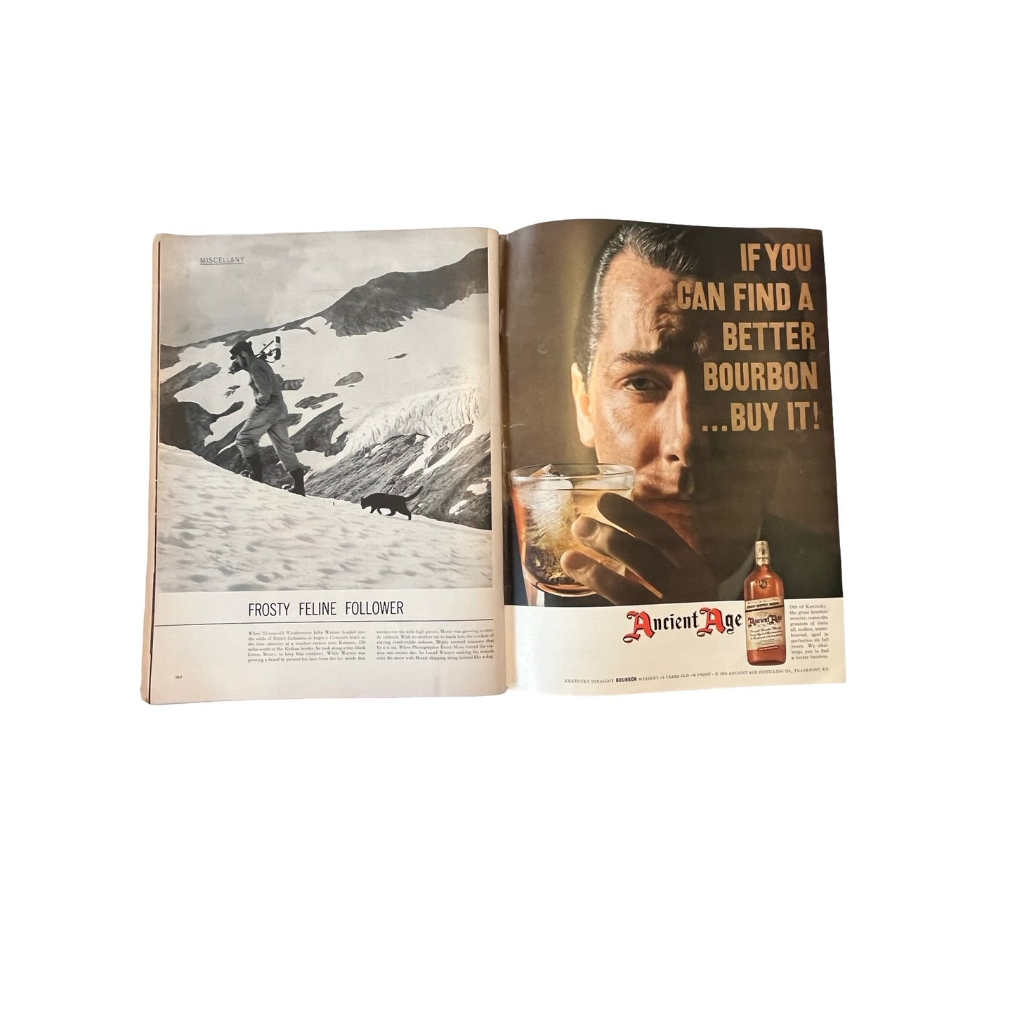 Vintage LIFE Magazine 1954 Mid Century Ads Bourbon Tobacco Jello Pyrex Ephemera