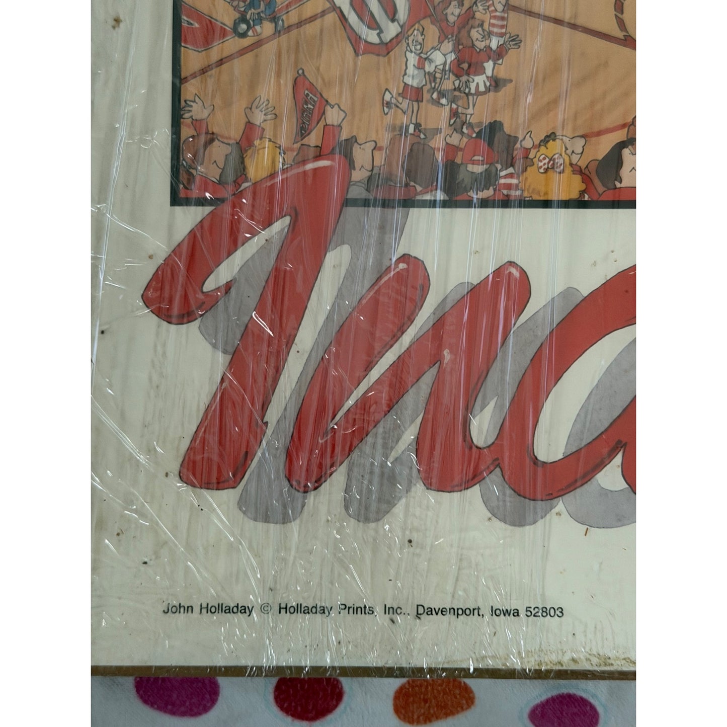 Vintage 1987 Indiana University Assembly Hall Crowd Print John Holladay 18x24 NCAA Championship