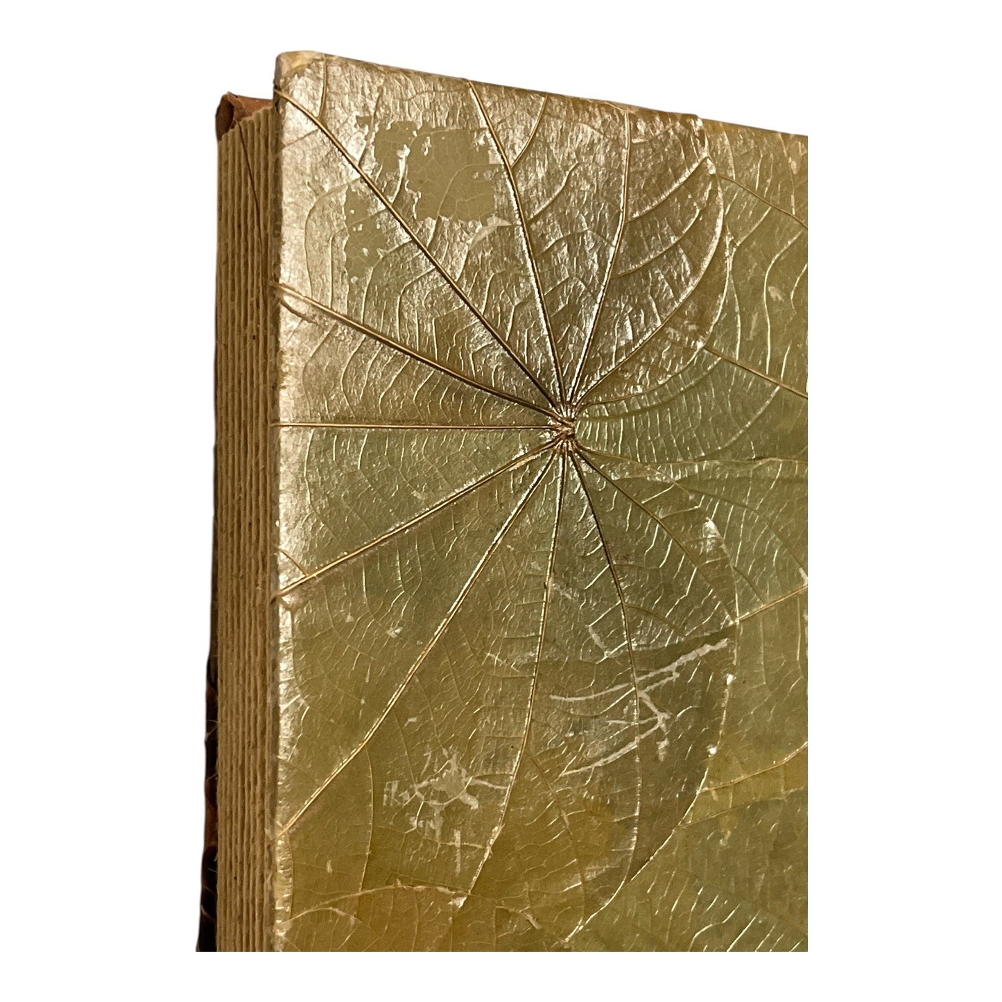 Handmade Tropical Leaf Journal Photo Album Bamboo Spine Hibiscus Cover 9x7