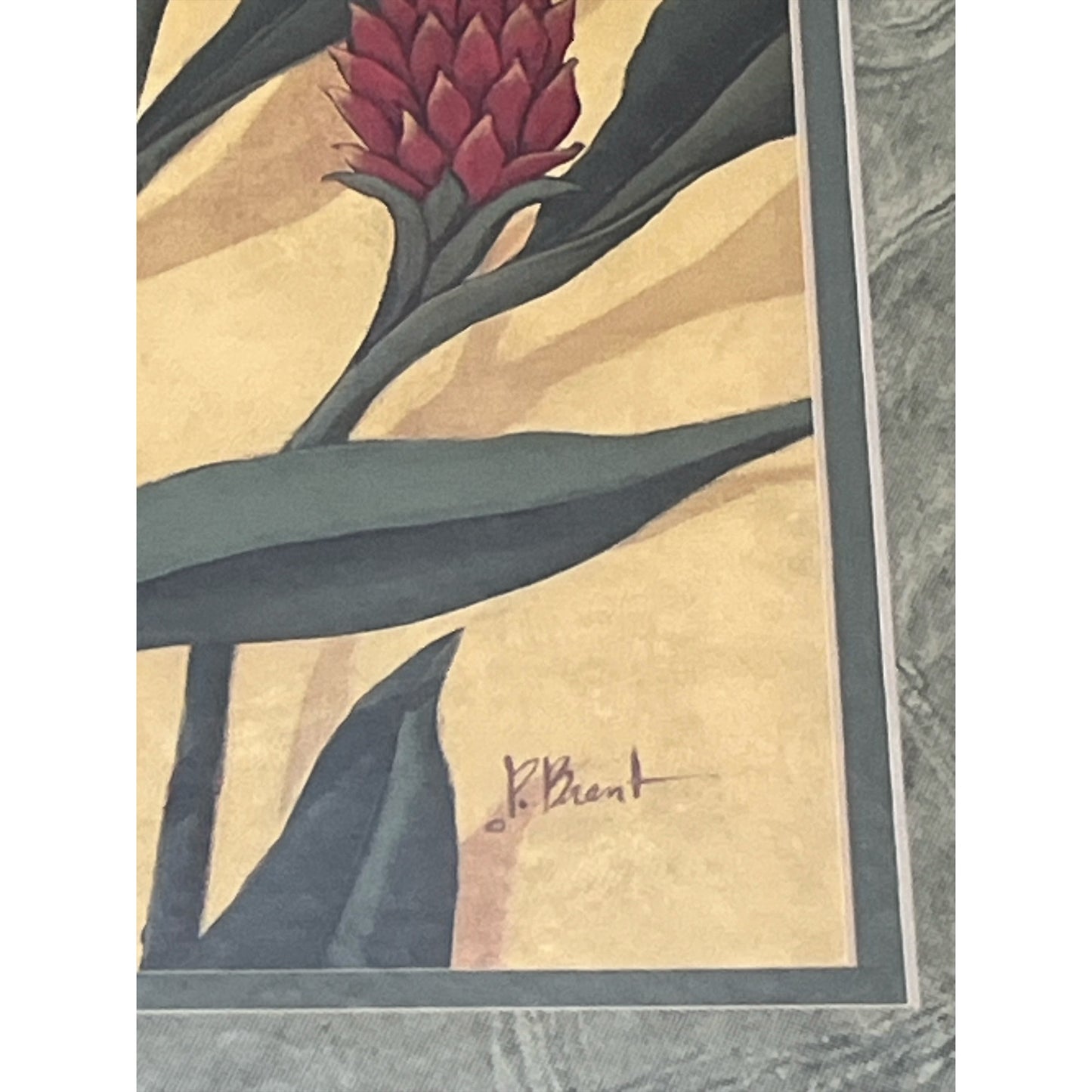 Paul Brent “Red Ginger” Framed Art Print – 12x24 Tropical Botanic USA