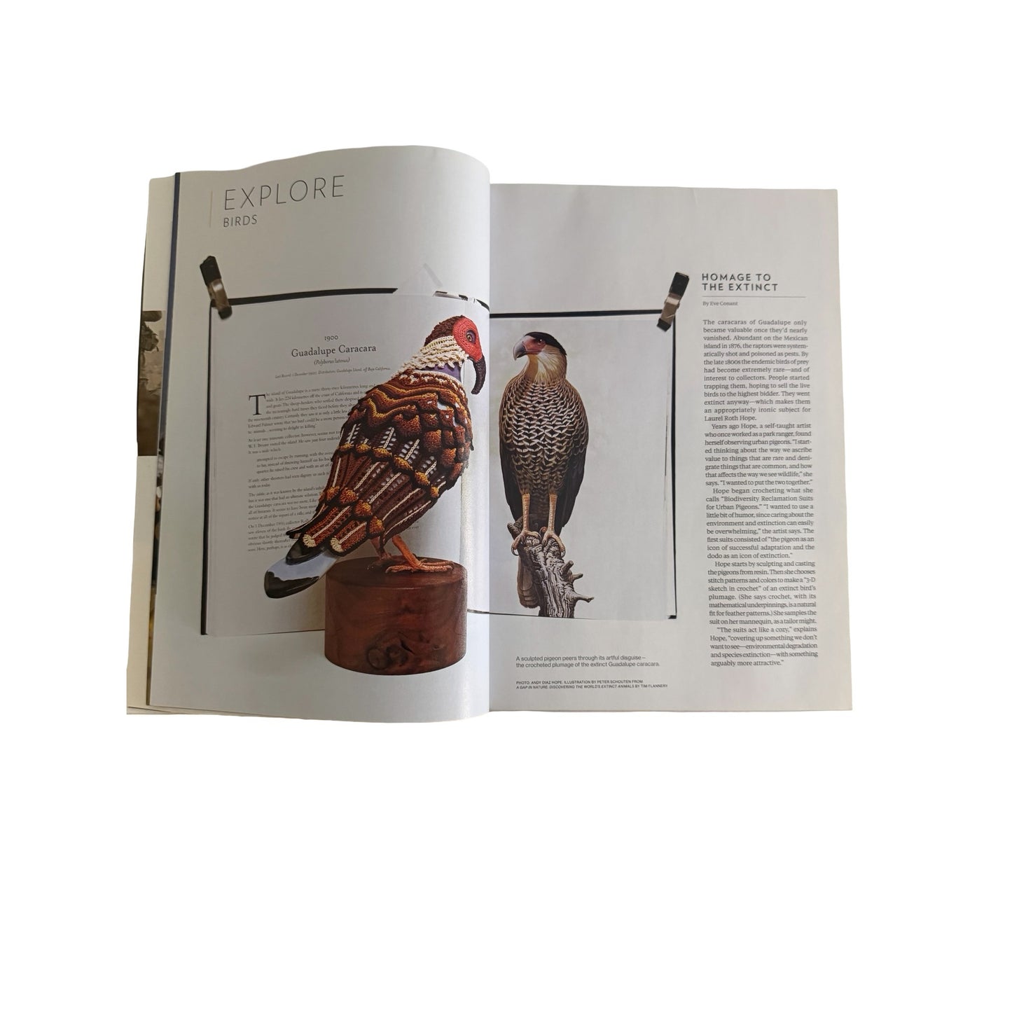 National Geographic Magazine January 2018 Why Birds Matter Jonathan Franzen Wildlife Issue