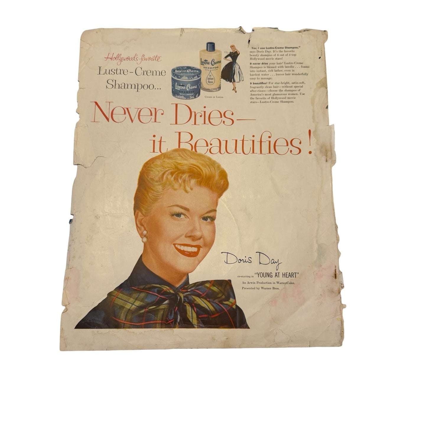 Vintage 1955 Ladies' Home Journal Cover Poster "Two Beauties" with White Dog Plus Doris Day Lustre-Creme Ad Print Set
