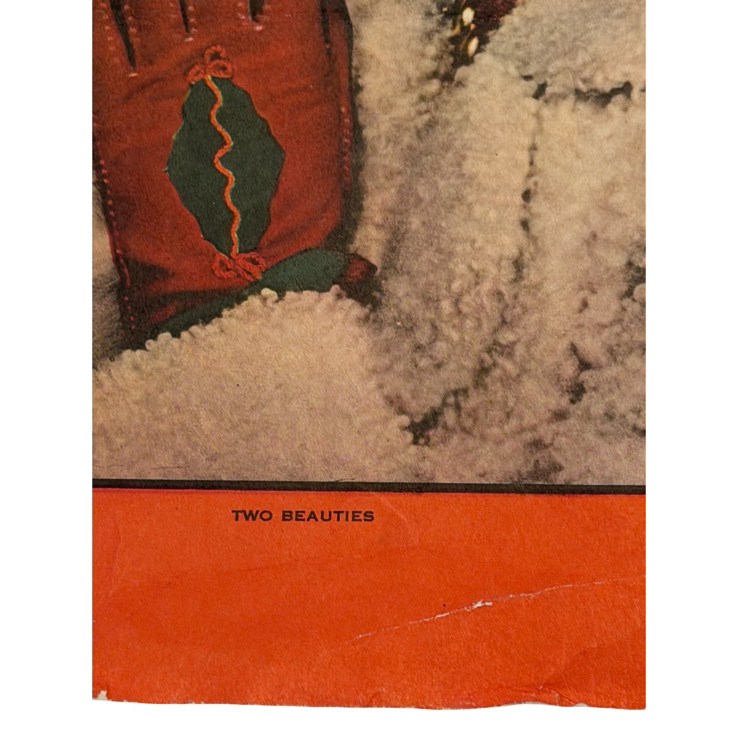 Vintage 1955 Ladies' Home Journal Cover Poster "Two Beauties" with White Dog Plus Doris Day Lustre-Creme Ad Print Set